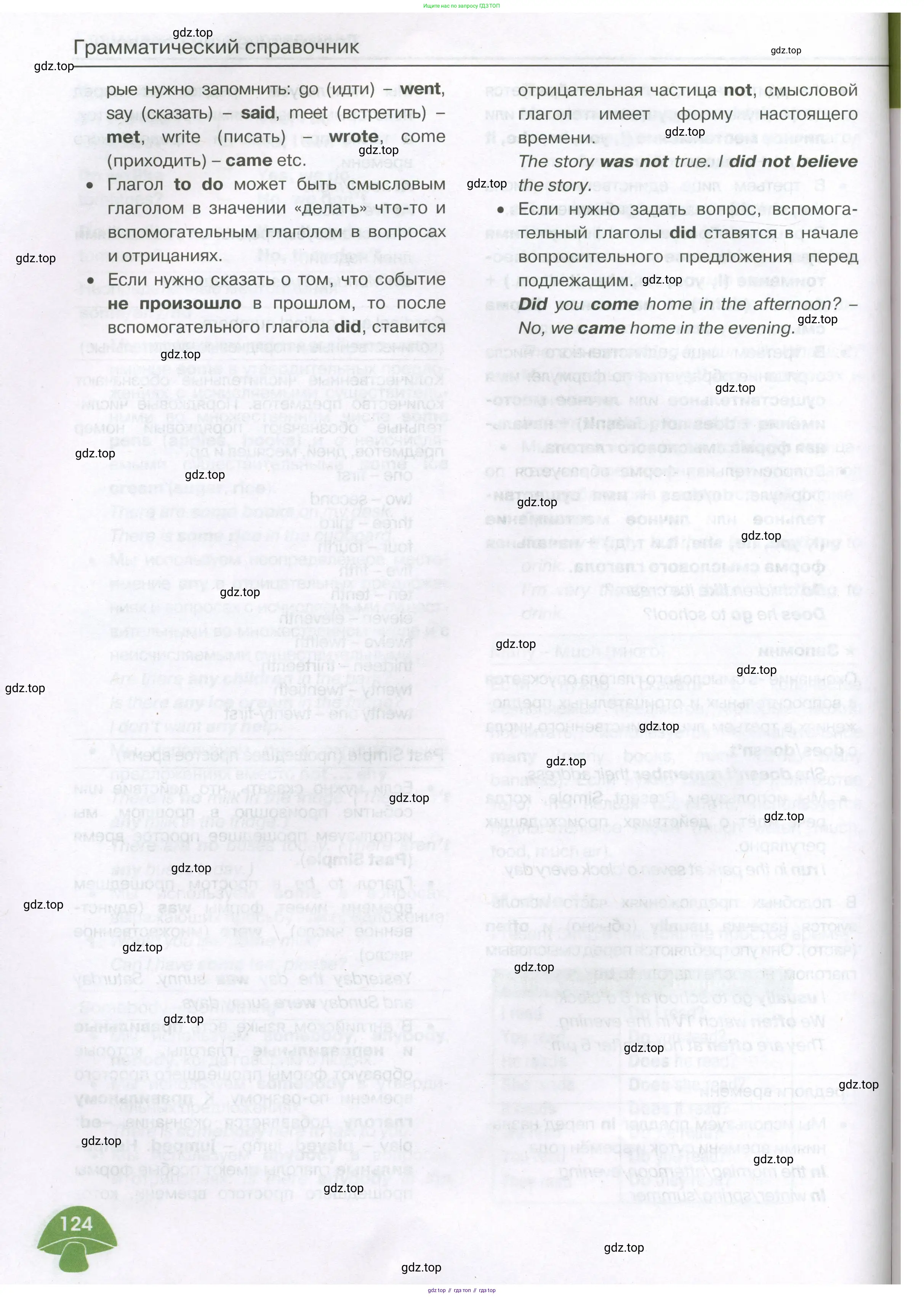 Английский язык (english), 3 класс Учебник (Student's book), авторы: Баранова Ксения Михайловна (Baranova Ksenia), Дули Дженни (Dooley Jenny), Копылова Виктория Викторовна (Kopylova Victoria), Мильруд Радислав Петрович (Millrood Radislav), Эванс Вирджиния (Evans Virginia), издательство Просвещение, Москва, 2023, зелёного цвета, страница 124