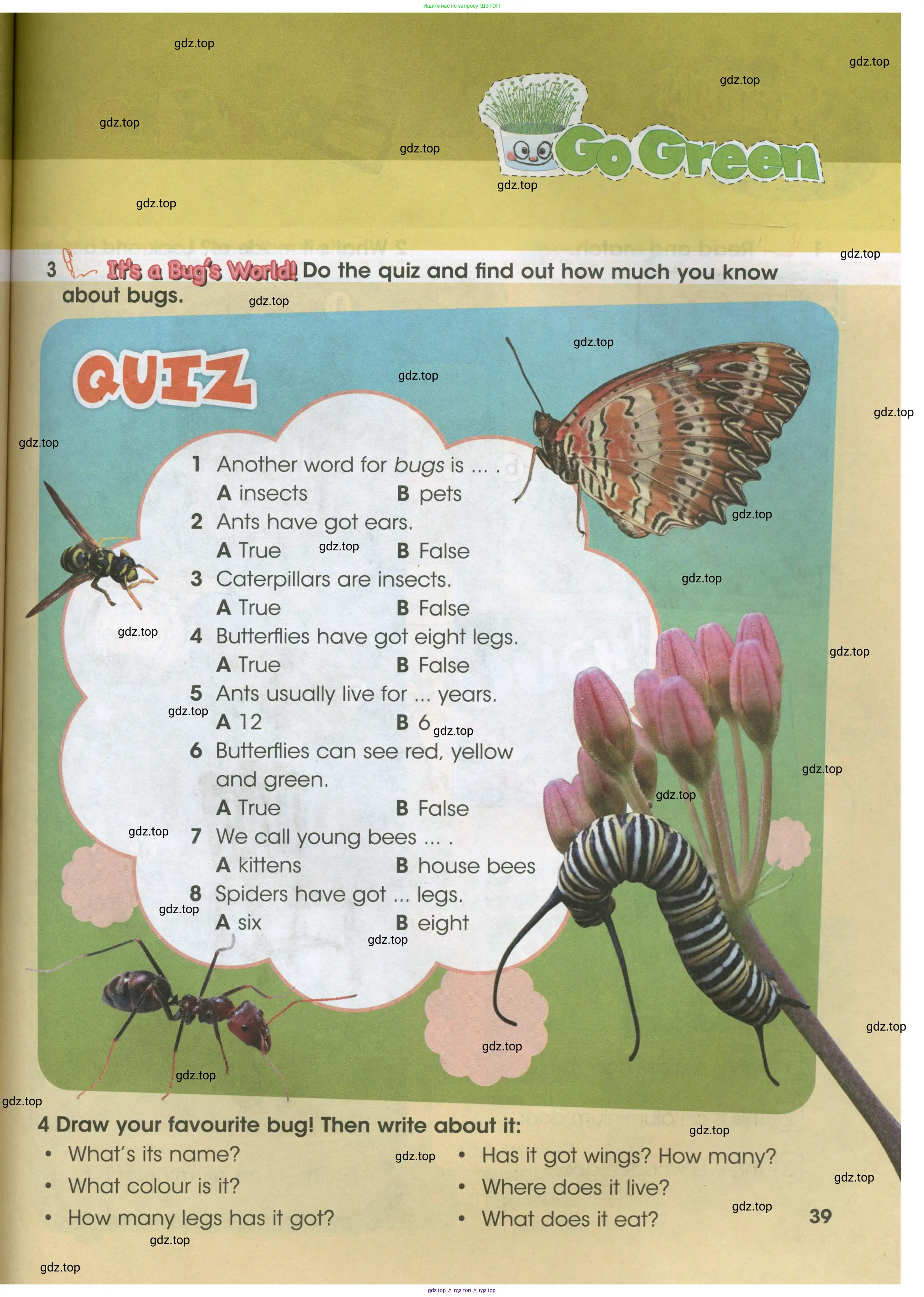Английский язык (english), 3 класс Учебник (Student's book), авторы: Баранова Ксения Михайловна (Baranova Ksenia), Дули Дженни (Dooley Jenny), Копылова Виктория Викторовна (Kopylova Victoria), Мильруд Радислав Петрович (Millrood Radislav), Эванс Вирджиния (Evans Virginia), издательство Просвещение, Москва, 2023, зелёного цвета, Часть ( Part) 1, страница 39