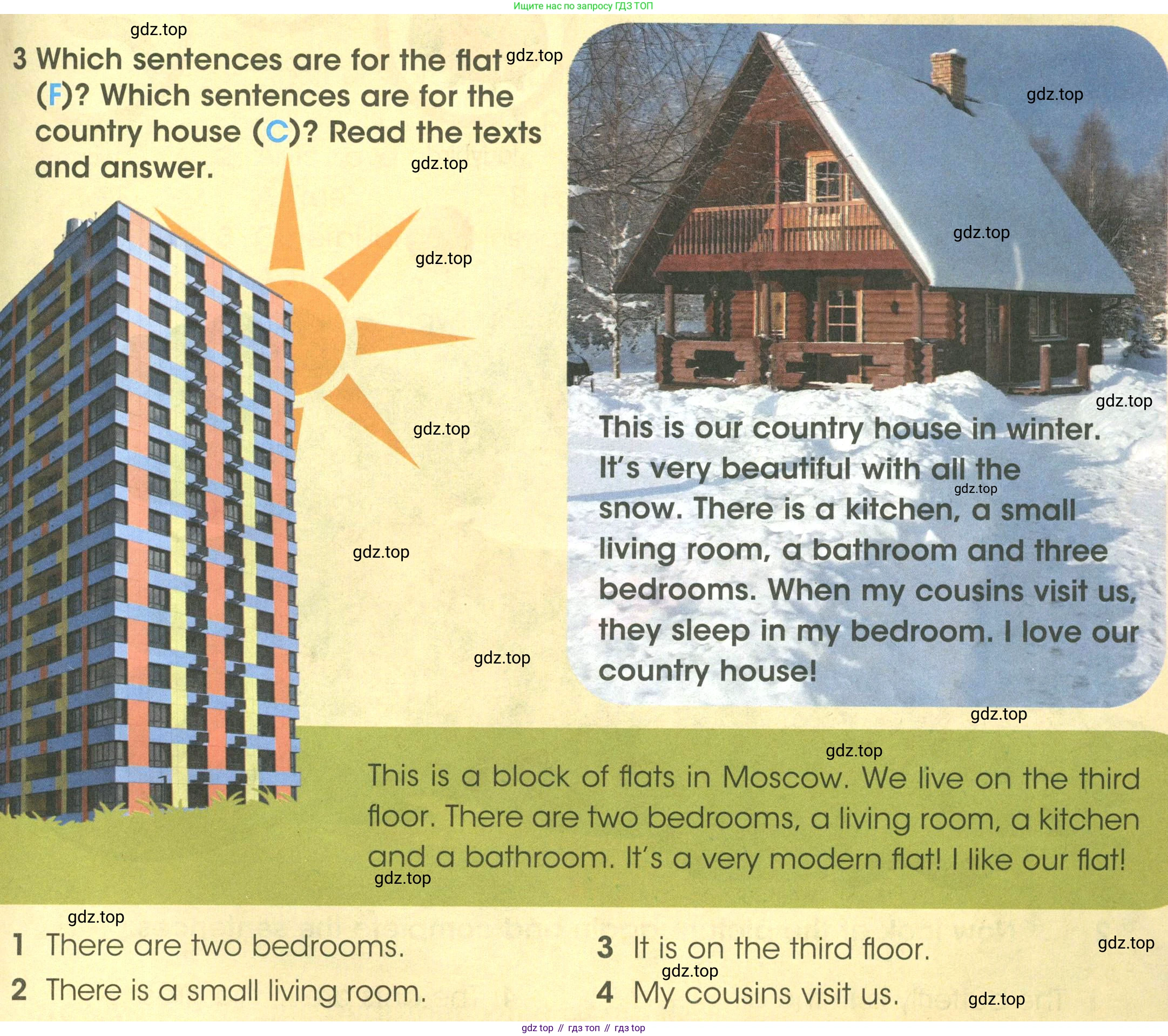 ГДЗ Английский язык (english), 3 класс Учебник (Student's book), авторы: Баранова Ксения Михайловна (Baranova Ksenia), Дули Дженни (Dooley Jenny), Копылова Виктория Викторовна (Kopylova Victoria), Мильруд Радислав Петрович (Millrood Radislav), Эванс Вирджиния (Evans Virginia), издательство Просвещение, Москва, 2023, зелёного цвета, Часть ( Part) 2, страница 37, номер 3, Условие