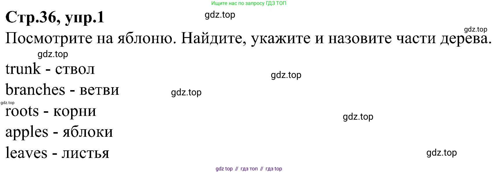 ГДЗ Английский язык (english), 3 класс Учебник (Student's book), авторы: Баранова Ксения Михайловна (Baranova Ksenia), Дули Дженни (Dooley Jenny), Копылова Виктория Викторовна (Kopylova Victoria), Мильруд Радислав Петрович (Millrood Radislav), Эванс Вирджиния (Evans Virginia), издательство Просвещение, Москва, 2023, зелёного цвета, Часть ( Part) 1, страница 36, номер 1, Решение