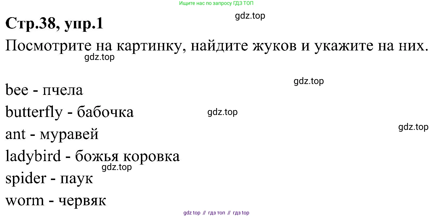 ГДЗ Английский язык (english), 3 класс Учебник (Student's book), авторы: Баранова Ксения Михайловна (Baranova Ksenia), Дули Дженни (Dooley Jenny), Копылова Виктория Викторовна (Kopylova Victoria), Мильруд Радислав Петрович (Millrood Radislav), Эванс Вирджиния (Evans Virginia), издательство Просвещение, Москва, 2023, зелёного цвета, Часть ( Part) 2, страница 38, номер 1, Решение