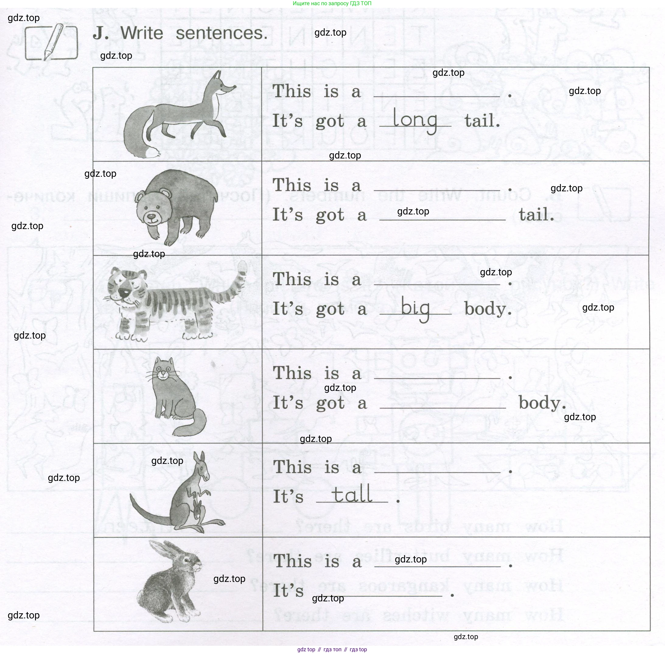 ГДЗ Английский язык (english), 3 класс рабочая тетрадь (activity book), авторы: Вербицкая Мария Валерьевна (Verbitskaya Maria), Эббс Брайен (Abbs Brian), Уорелл Энн (Worrall Anne), Уорд Энн (Ward Ann), издательство Просвещение, Москва, 2023, страница 25, номер J, Условие 2023