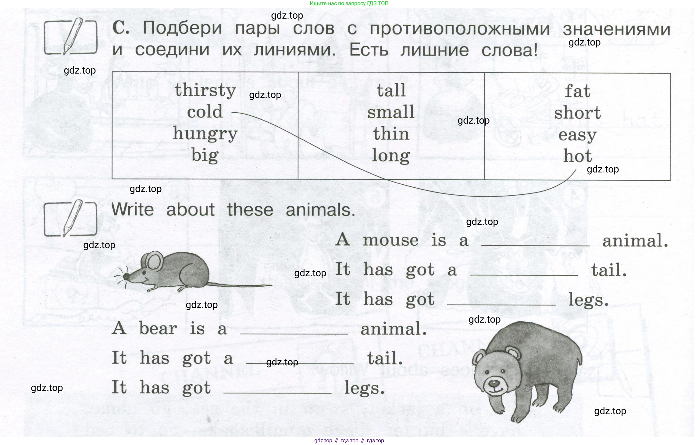 ГДЗ Английский язык (english), 3 класс рабочая тетрадь (activity book), авторы: Вербицкая Мария Валерьевна (Verbitskaya Maria), Эббс Брайен (Abbs Brian), Уорелл Энн (Worrall Anne), Уорд Энн (Ward Ann), издательство Просвещение, Москва, 2023, страница 56, номер C, Условие 2023