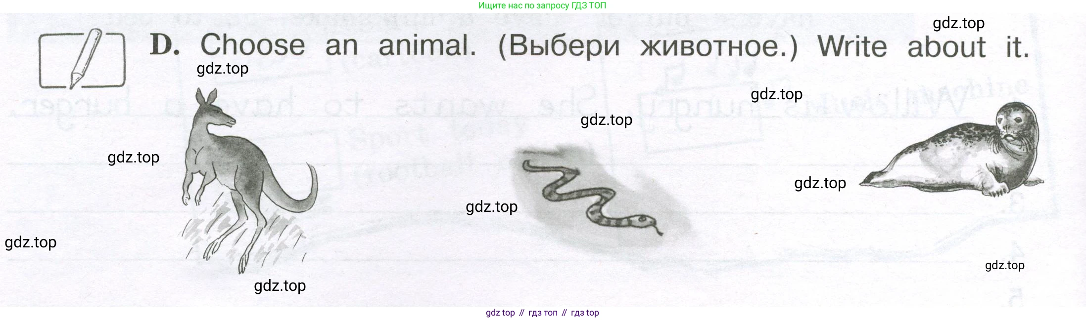 ГДЗ Английский язык (english), 3 класс рабочая тетрадь (activity book), авторы: Вербицкая Мария Валерьевна (Verbitskaya Maria), Эббс Брайен (Abbs Brian), Уорелл Энн (Worrall Anne), Уорд Энн (Ward Ann), издательство Просвещение, Москва, 2023, страница 56, номер D, Условие 2023