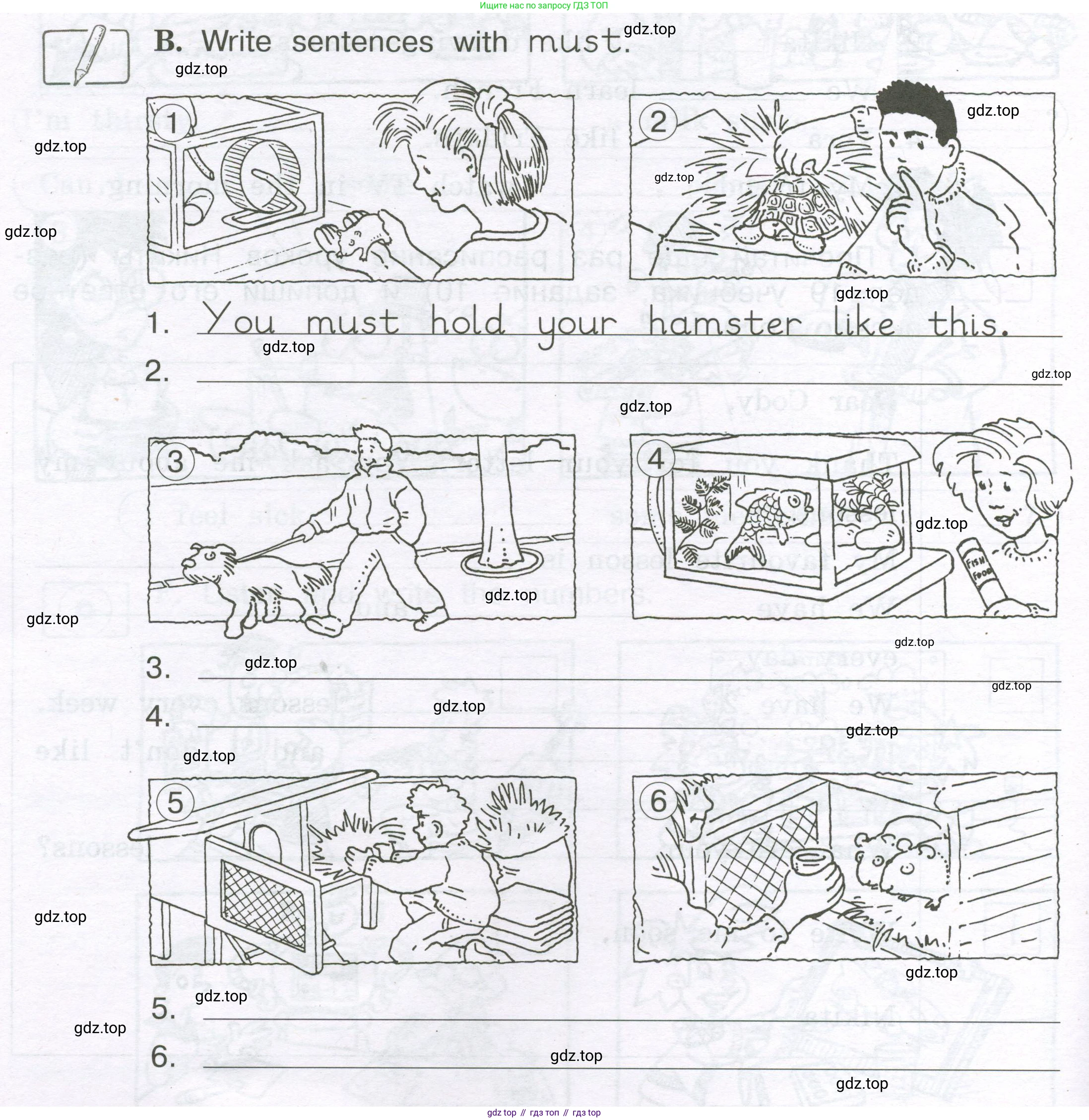 ГДЗ Английский язык (english), 3 класс рабочая тетрадь (activity book), авторы: Вербицкая Мария Валерьевна (Verbitskaya Maria), Эббс Брайен (Abbs Brian), Уорелл Энн (Worrall Anne), Уорд Энн (Ward Ann), издательство Просвещение, Москва, 2023, страница 74, номер B, Условие 2023