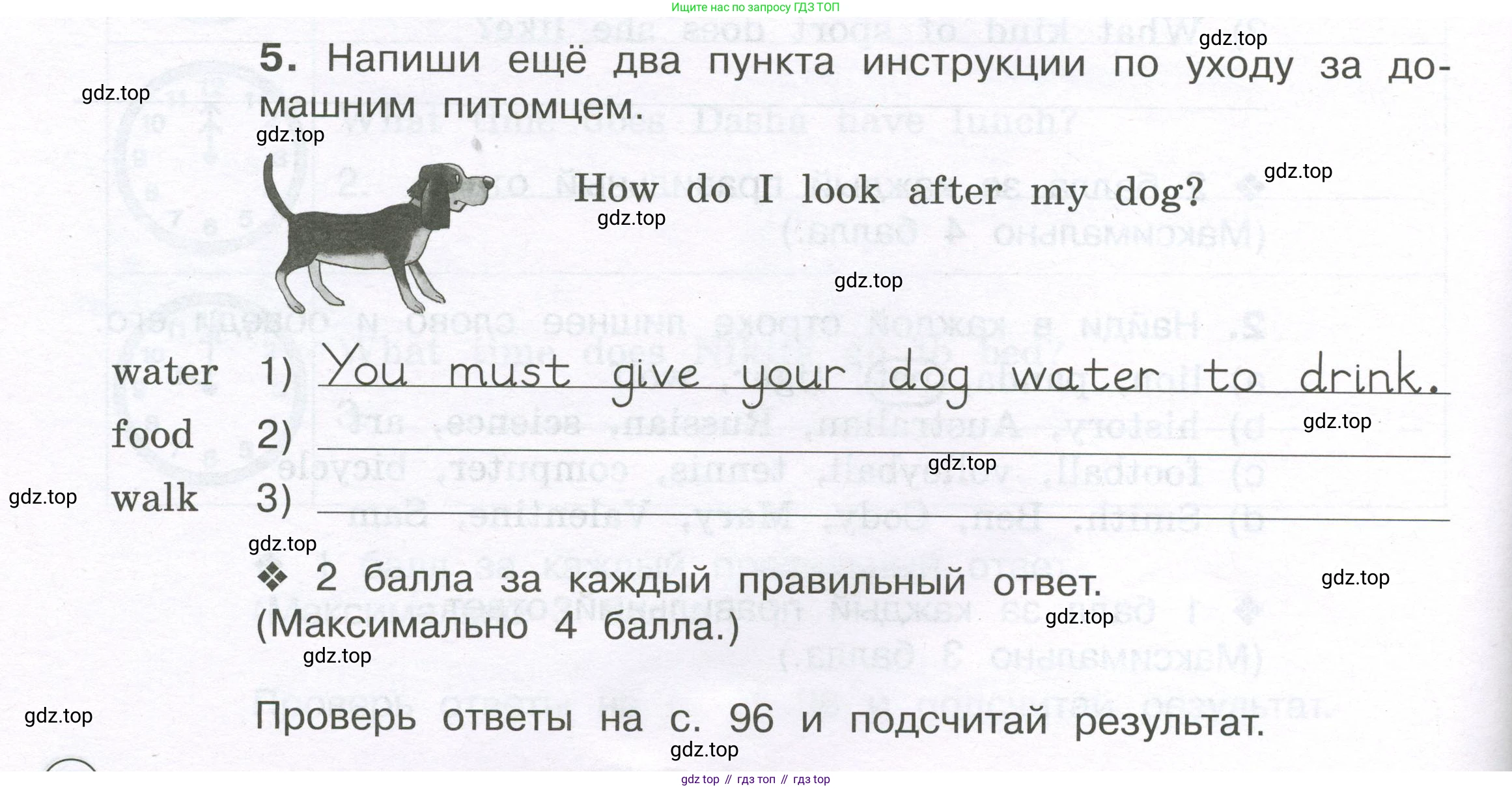 ГДЗ Английский язык (english), 3 класс рабочая тетрадь (activity book), авторы: Вербицкая Мария Валерьевна (Verbitskaya Maria), Эббс Брайен (Abbs Brian), Уорелл Энн (Worrall Anne), Уорд Энн (Ward Ann), издательство Просвещение, Москва, 2023, страница 92, номер 5, Условие 2023