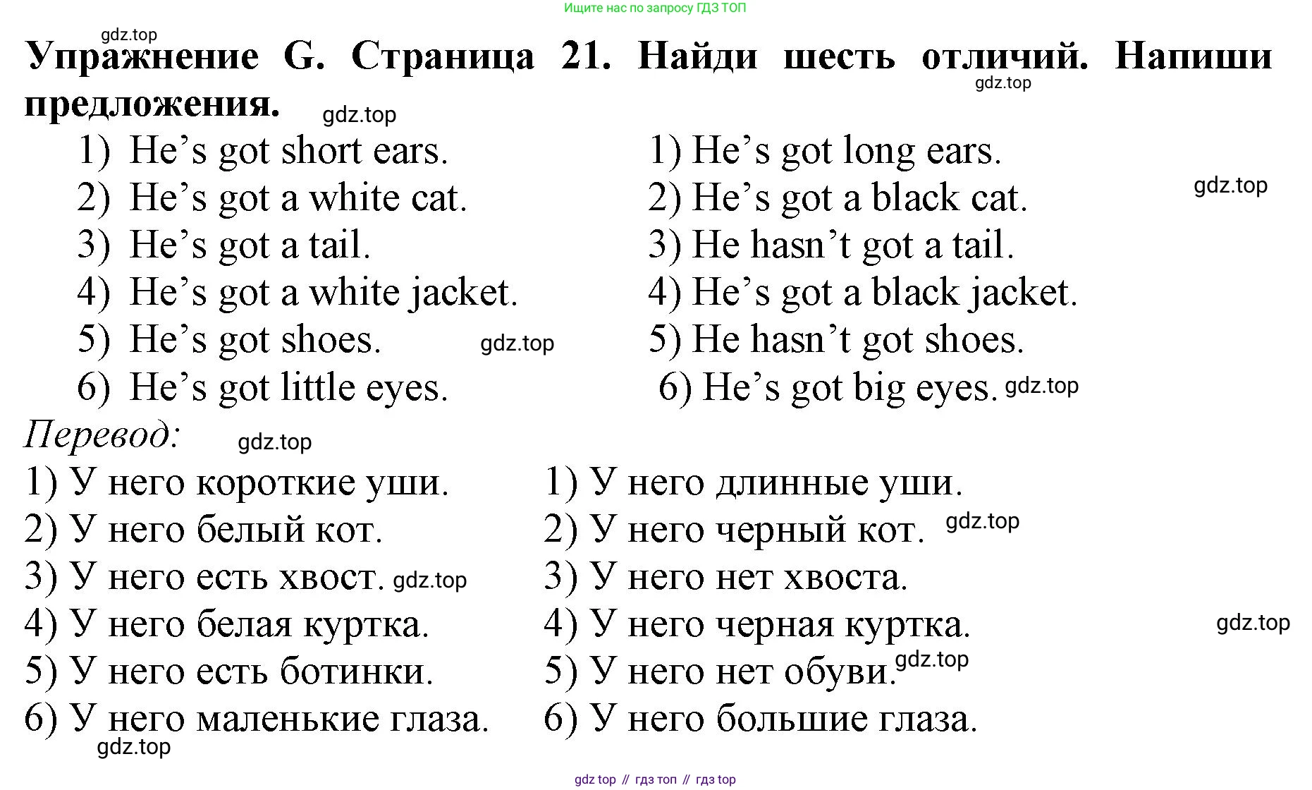 ГДЗ Английский язык (english), 3 класс рабочая тетрадь (activity book), авторы: Вербицкая Мария Валерьевна (Verbitskaya Maria), Эббс Брайен (Abbs Brian), Уорелл Энн (Worrall Anne), Уорд Энн (Ward Ann), издательство Просвещение, Москва, 2023, страница 21, номер G, Решение 2023