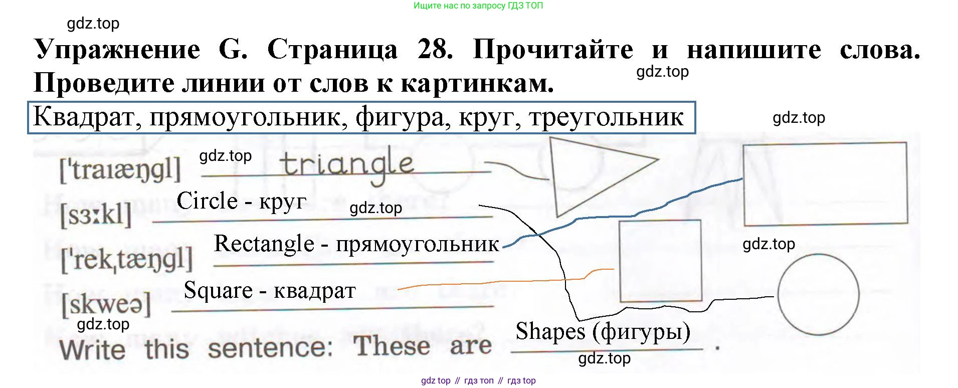 ГДЗ Английский язык (english), 3 класс рабочая тетрадь (activity book), авторы: Вербицкая Мария Валерьевна (Verbitskaya Maria), Эббс Брайен (Abbs Brian), Уорелл Энн (Worrall Anne), Уорд Энн (Ward Ann), издательство Просвещение, Москва, 2023, страница 28, номер G, Решение 2023