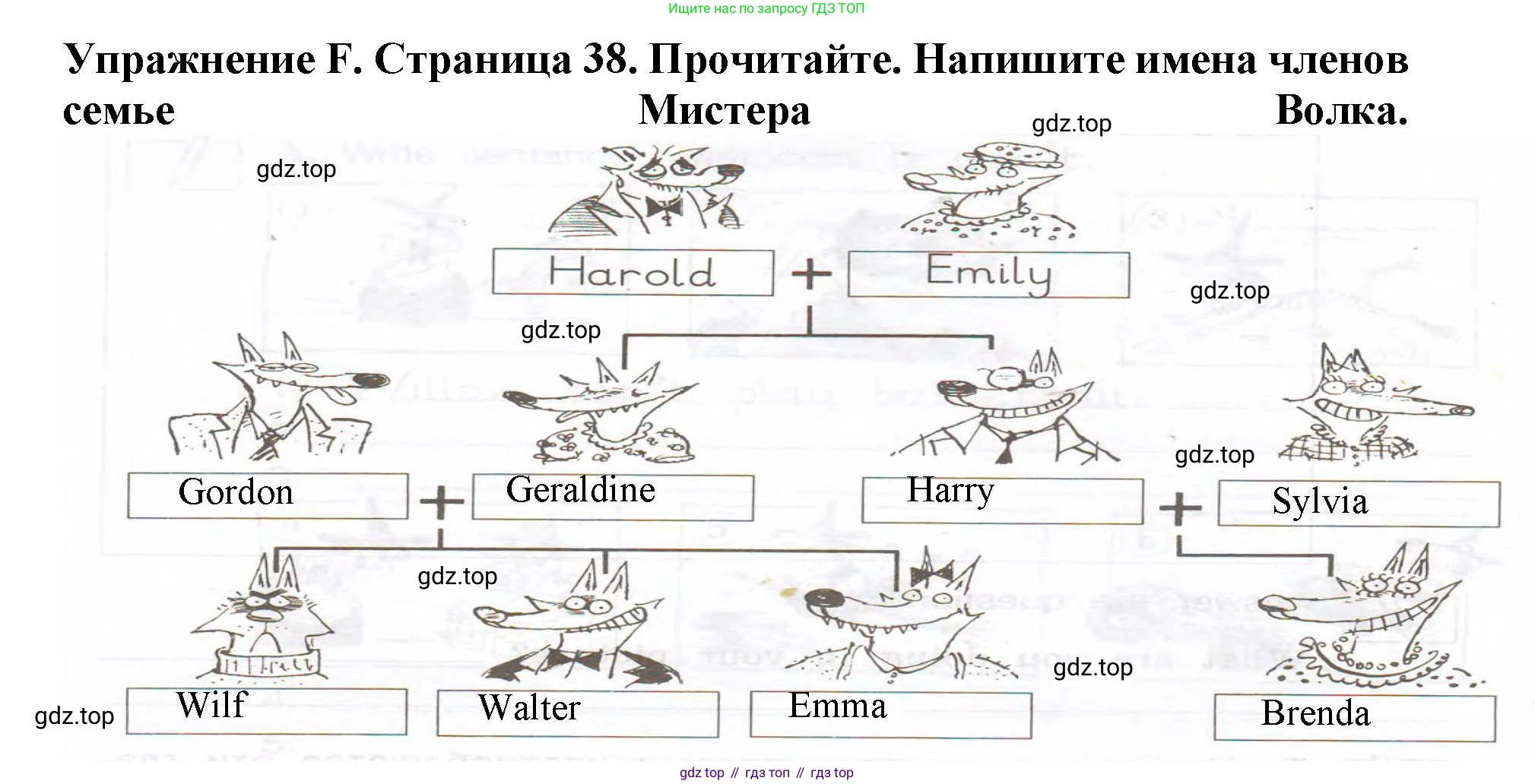 ГДЗ Английский язык (english), 3 класс рабочая тетрадь (activity book), авторы: Вербицкая Мария Валерьевна (Verbitskaya Maria), Эббс Брайен (Abbs Brian), Уорелл Энн (Worrall Anne), Уорд Энн (Ward Ann), издательство Просвещение, Москва, 2023, страница 38, номер F, Решение 2023