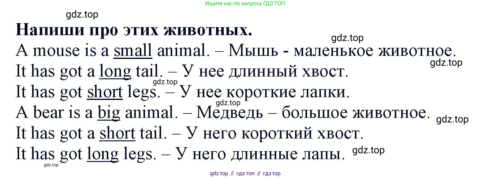 ГДЗ Английский язык (english), 3 класс рабочая тетрадь (activity book), авторы: Вербицкая Мария Валерьевна (Verbitskaya Maria), Эббс Брайен (Abbs Brian), Уорелл Энн (Worrall Anne), Уорд Энн (Ward Ann), издательство Просвещение, Москва, 2023, страница 56, номер C, Решение 2023 (продолжение 2)
