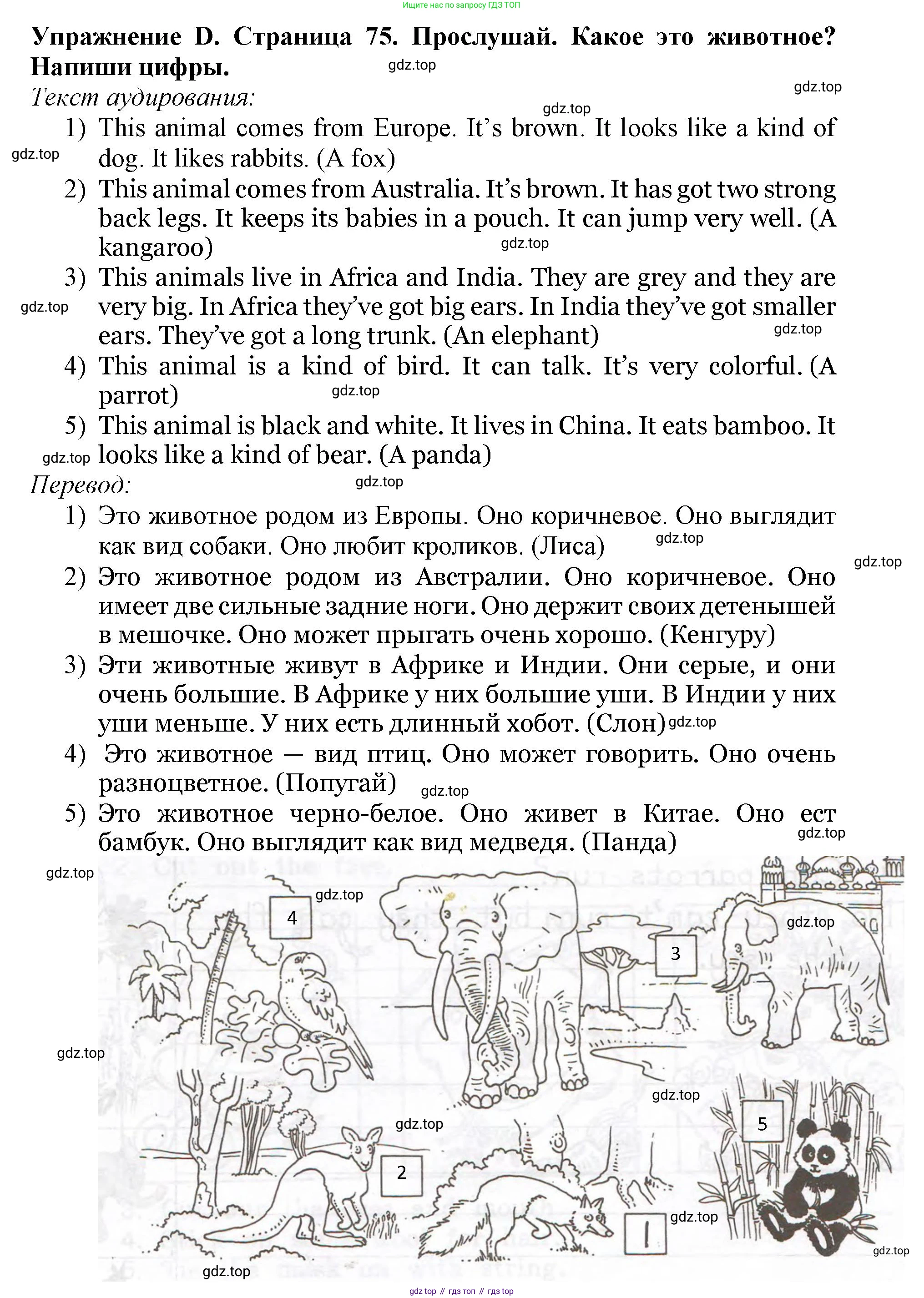 ГДЗ Английский язык (english), 3 класс рабочая тетрадь (activity book), авторы: Вербицкая Мария Валерьевна (Verbitskaya Maria), Эббс Брайен (Abbs Brian), Уорелл Энн (Worrall Anne), Уорд Энн (Ward Ann), издательство Просвещение, Москва, 2023, страница 75, номер D, Решение 2023
