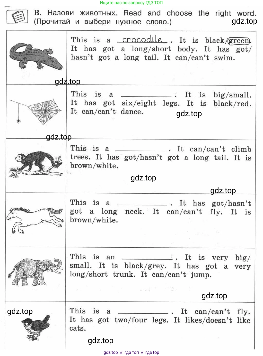 ГДЗ Английский язык (english), 3 класс рабочая тетрадь (activity book), авторы: Вербицкая Мария Валерьевна (Verbitskaya Maria), Эббс Брайен (Abbs Brian), Уорелл Энн (Worrall Anne), Уорд Энн (Ward Ann), издательство Просвещение, Москва, 2023, страница 29, номер B, Условие 2013-2022