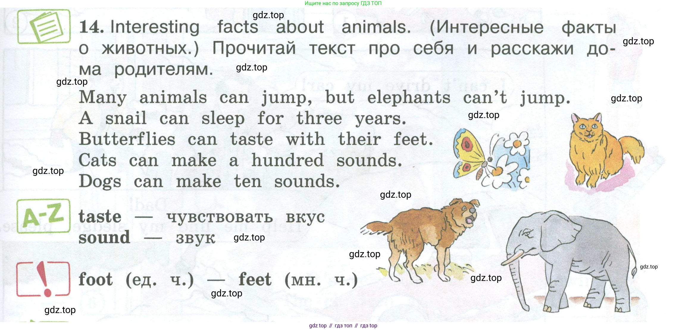 ГДЗ Английский язык (english), 3 класс Учебник (Student's book), авторы: Вербицкая Мария Валерьевна (Verbitskaya Maria), Эббс Брайен (Abbs Brian), Уорелл Энн (Worrall Anne), Уорд Энн (Ward Ann), издательство Просвещение, Москва, 2023, белого цвета, Часть ( Part) 1, страница 51, номер 14, Условие