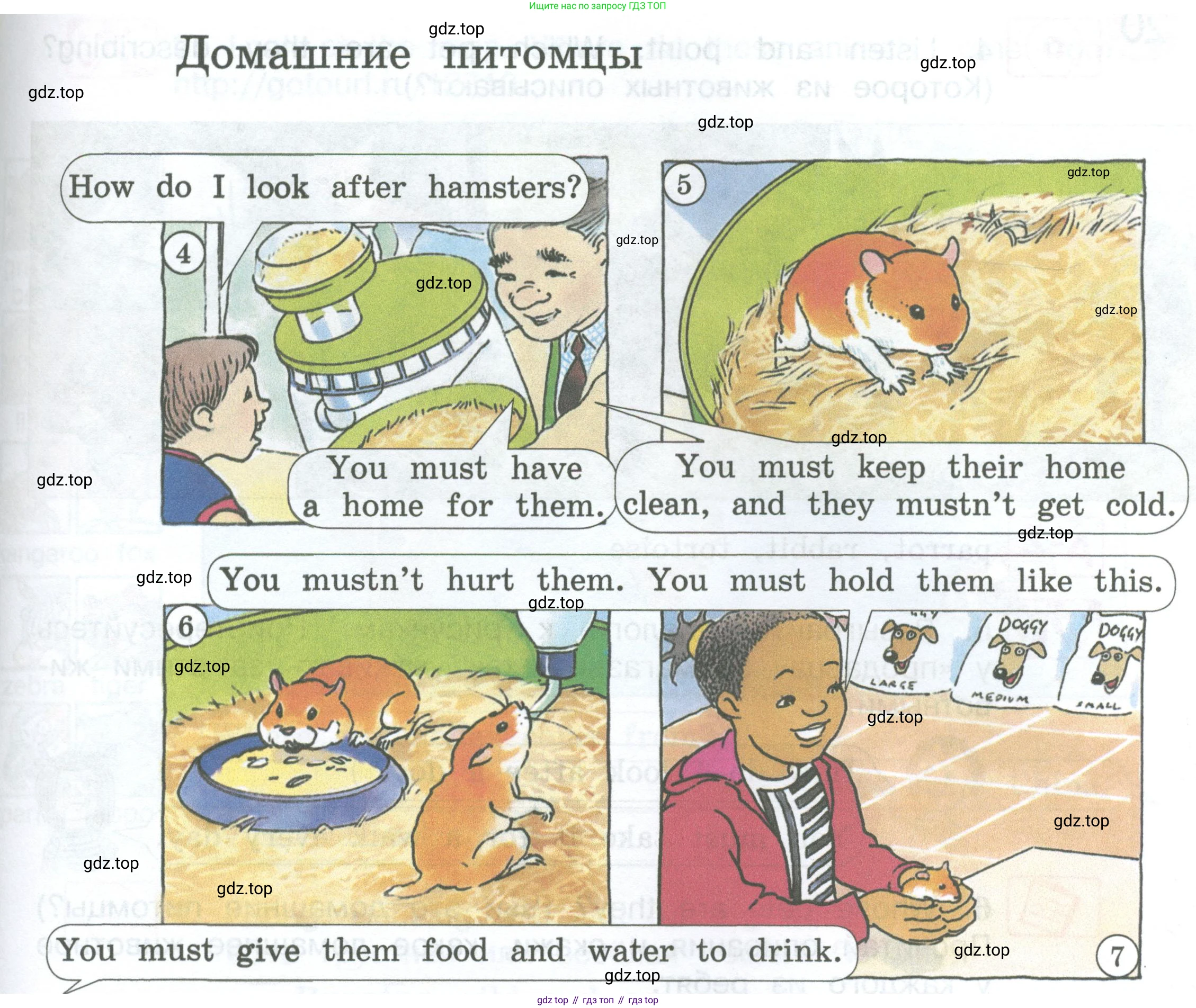 ГДЗ Английский язык (english), 3 класс Учебник (Student's book), авторы: Вербицкая Мария Валерьевна (Verbitskaya Maria), Эббс Брайен (Abbs Brian), Уорелл Энн (Worrall Anne), Уорд Энн (Ward Ann), издательство Просвещение, Москва, 2023, белого цвета, Часть ( Part) 2, страница 40, номер 1, Условие (продолжение 2)