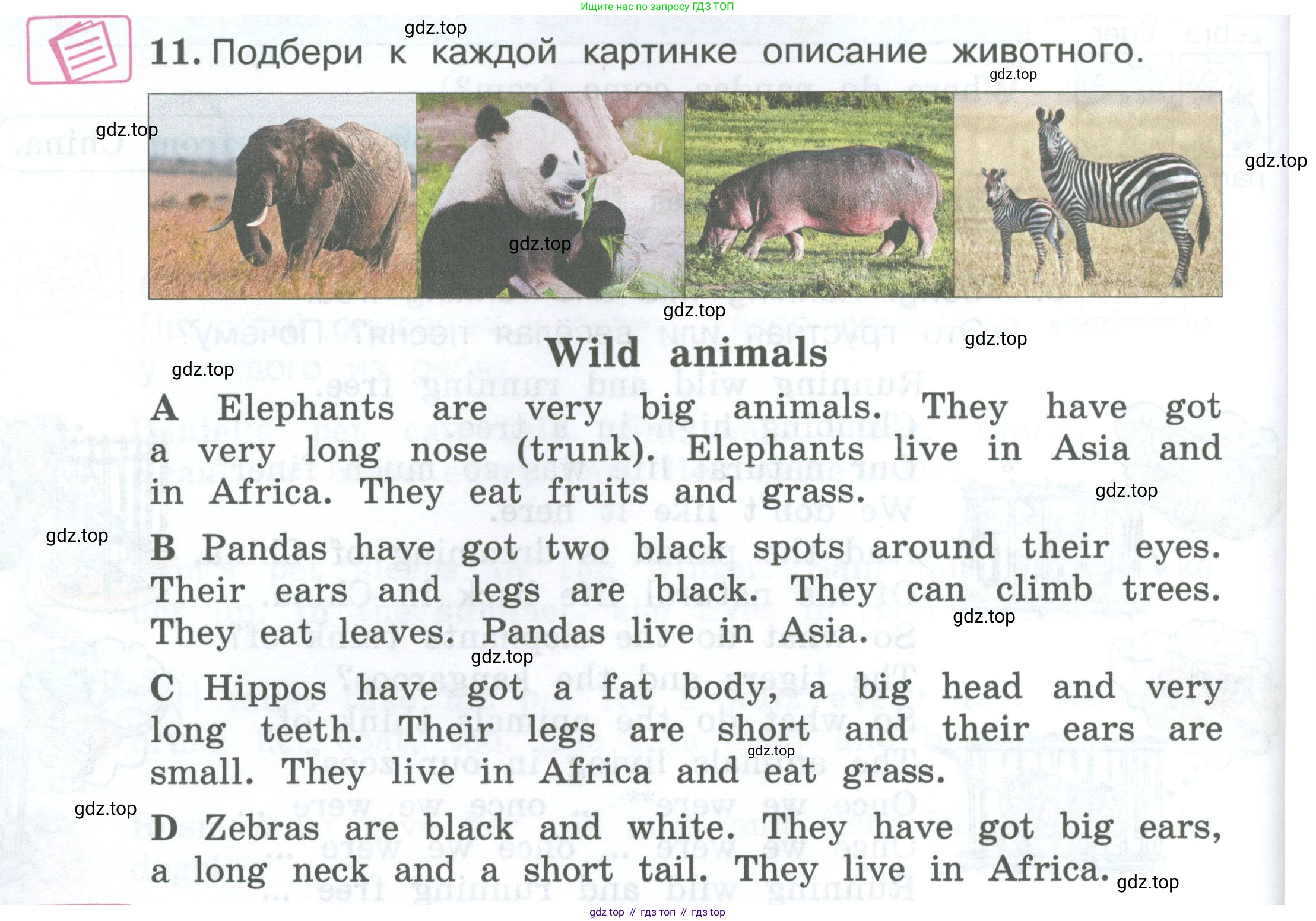 ГДЗ Английский язык (english), 3 класс Учебник (Student's book), авторы: Вербицкая Мария Валерьевна (Verbitskaya Maria), Эббс Брайен (Abbs Brian), Уорелл Энн (Worrall Anne), Уорд Энн (Ward Ann), издательство Просвещение, Москва, 2023, белого цвета, Часть ( Part) 2, страница 44, номер 11, Условие