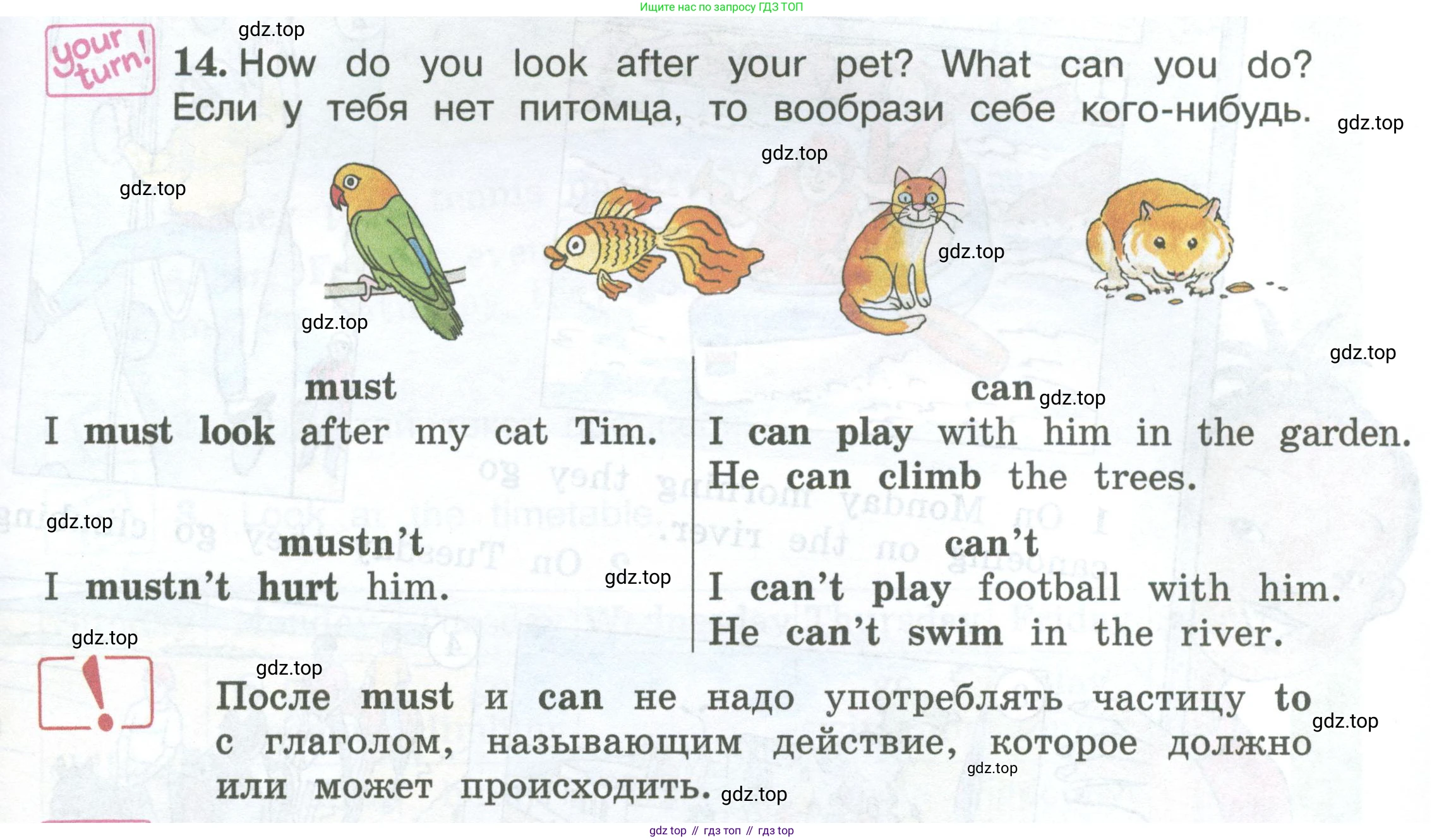 ГДЗ Английский язык (english), 3 класс Учебник (Student's book), авторы: Вербицкая Мария Валерьевна (Verbitskaya Maria), Эббс Брайен (Abbs Brian), Уорелл Энн (Worrall Anne), Уорд Энн (Ward Ann), издательство Просвещение, Москва, 2023, белого цвета, Часть ( Part) 2, страница 45, номер 14, Условие