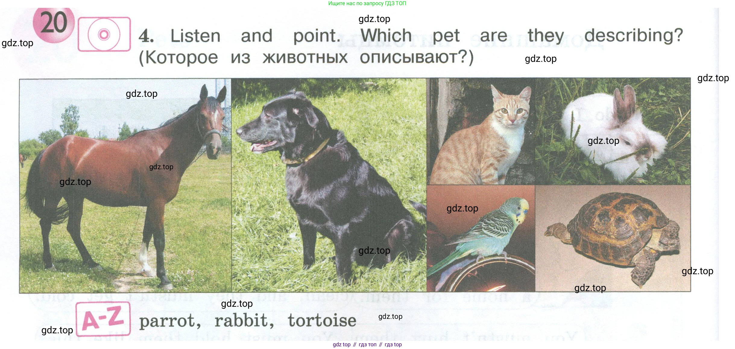 ГДЗ Английский язык (english), 3 класс Учебник (Student's book), авторы: Вербицкая Мария Валерьевна (Verbitskaya Maria), Эббс Брайен (Abbs Brian), Уорелл Энн (Worrall Anne), Уорд Энн (Ward Ann), издательство Просвещение, Москва, 2023, белого цвета, Часть ( Part) 2, страница 42, номер 4, Условие