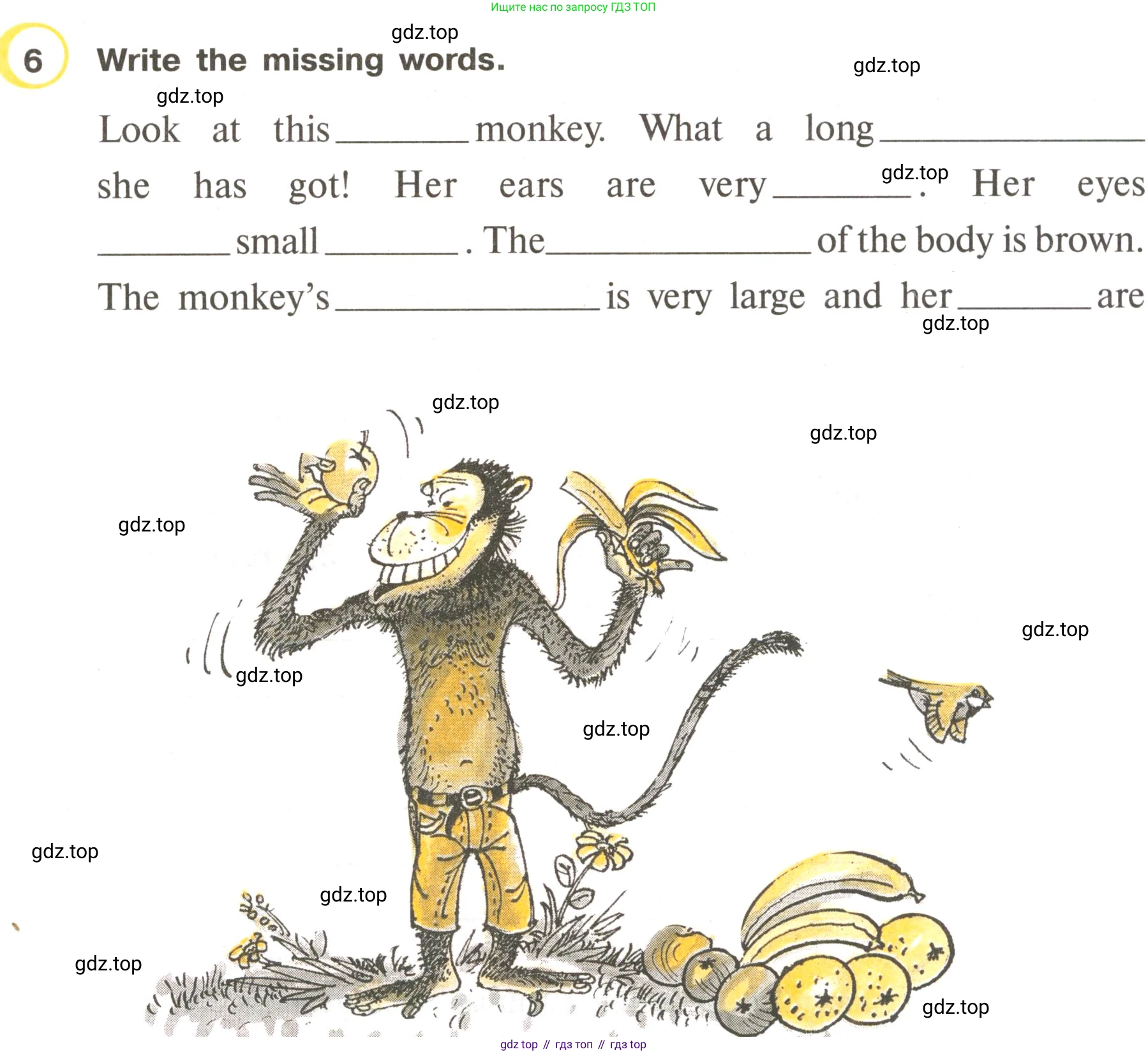 ГДЗ Английский язык (english), 3 класс Рабочая тетрадь (workbook), авторы: Верещагина Ирина Николаевна (Vereshchagina Irina), Притыкина Тамара Александровна (Pritykina Tamara), издательство Просвещение, Москва, 2023, оранжевого цвета, страница 19, номер 6, Условие