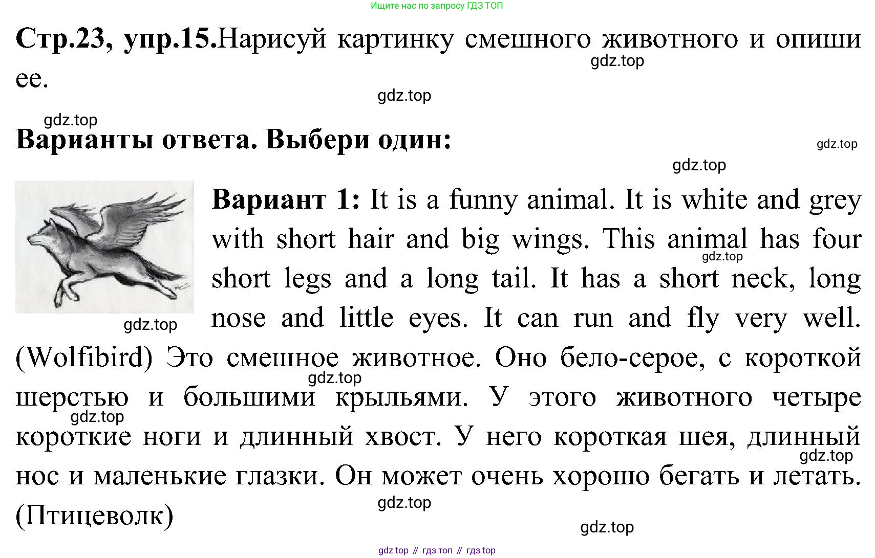 ГДЗ Английский язык (english), 3 класс Рабочая тетрадь (workbook), авторы: Верещагина Ирина Николаевна (Vereshchagina Irina), Притыкина Тамара Александровна (Pritykina Tamara), издательство Просвещение, Москва, 2023, оранжевого цвета, страница 23, номер 15, Решение