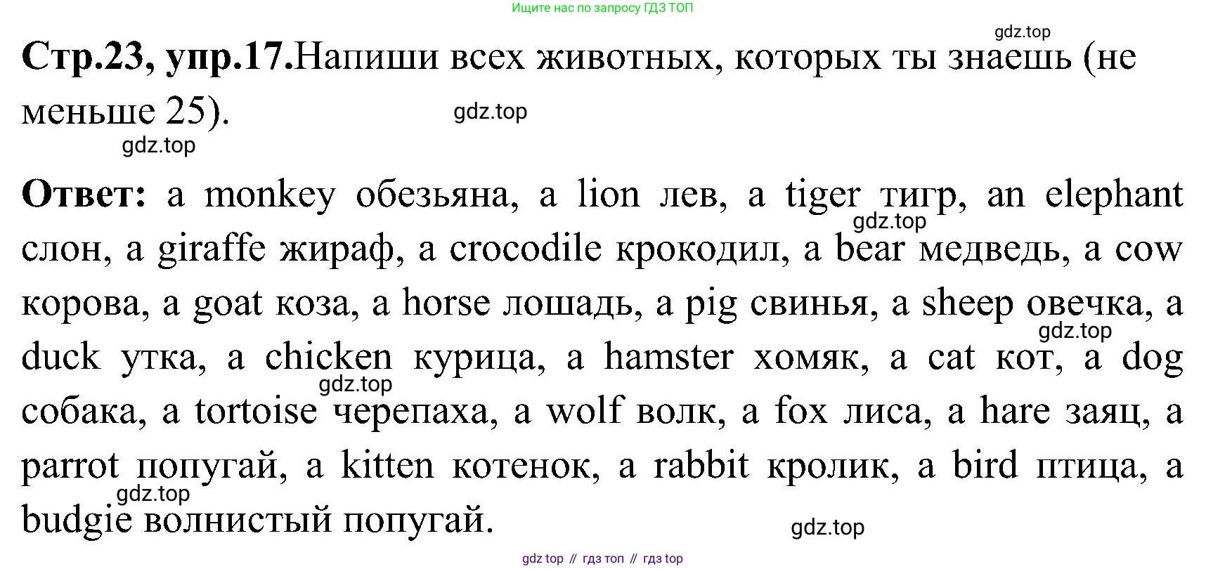 ГДЗ Английский язык (english), 3 класс Рабочая тетрадь (workbook), авторы: Верещагина Ирина Николаевна (Vereshchagina Irina), Притыкина Тамара Александровна (Pritykina Tamara), издательство Просвещение, Москва, 2023, оранжевого цвета, страница 23, номер 17, Решение