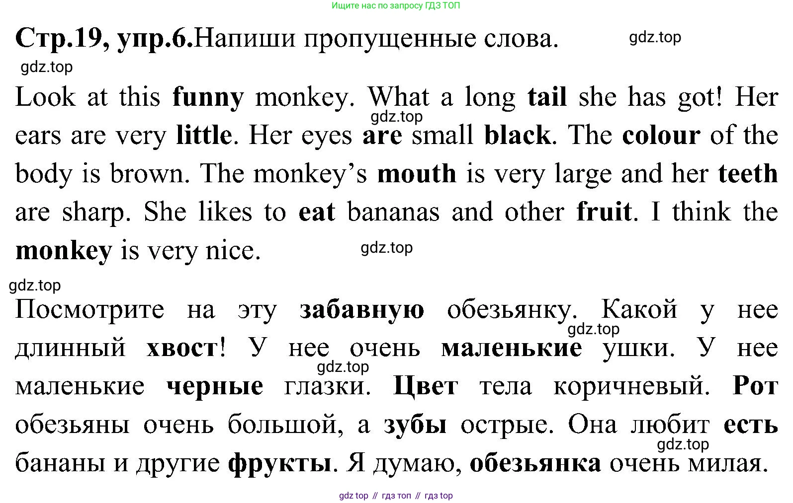 ГДЗ Английский язык (english), 3 класс Рабочая тетрадь (workbook), авторы: Верещагина Ирина Николаевна (Vereshchagina Irina), Притыкина Тамара Александровна (Pritykina Tamara), издательство Просвещение, Москва, 2023, оранжевого цвета, страница 19, номер 6, Решение