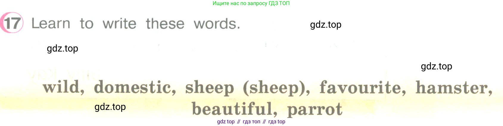 ГДЗ Английский язык (english), 3 класс Учебник (Student's book), авторы: Верещагина Ирина Николаевна (Vereshchagina Irina), Притыкина Тамара Александровна (Pritykina Tamara), издательство Просвещение, Москва, 2023, оранжевого цвета, Часть ( Part) 2, страница 16, номер 17, Условие