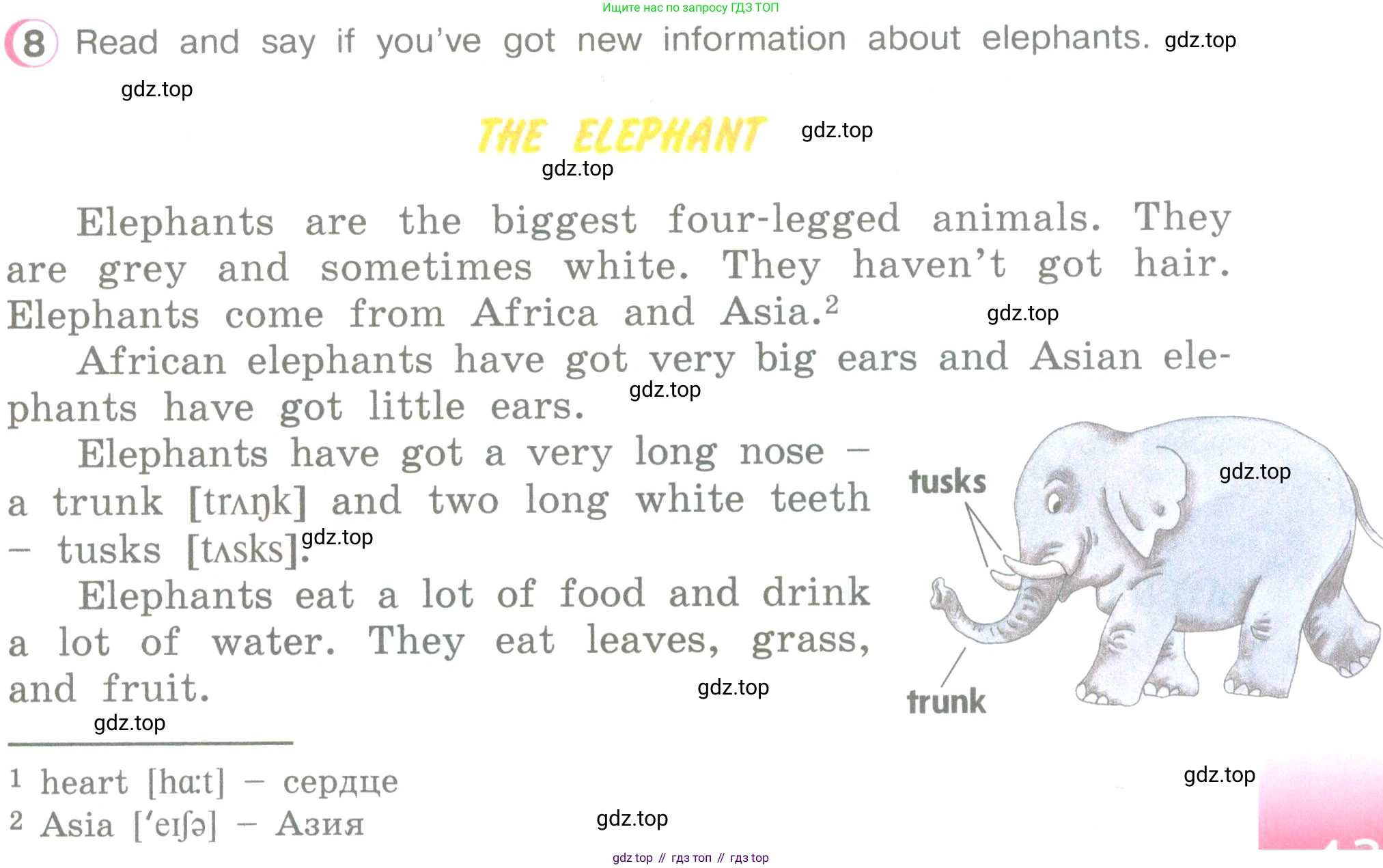 ГДЗ Английский язык (english), 3 класс Учебник (Student's book), авторы: Верещагина Ирина Николаевна (Vereshchagina Irina), Притыкина Тамара Александровна (Pritykina Tamara), издательство Просвещение, Москва, 2023, оранжевого цвета, Часть ( Part) 2, страница 13, номер 8, Условие