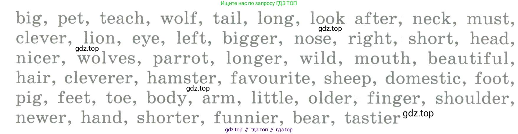 ГДЗ Английский язык (english), 3 класс Учебник (Student's book), авторы: Верещагина Ирина Николаевна (Vereshchagina Irina), Притыкина Тамара Александровна (Pritykina Tamara), издательство Просвещение, Москва, 2023, оранжевого цвета, Часть ( Part) 2, страница 19, номер 10, Условие (продолжение 2)