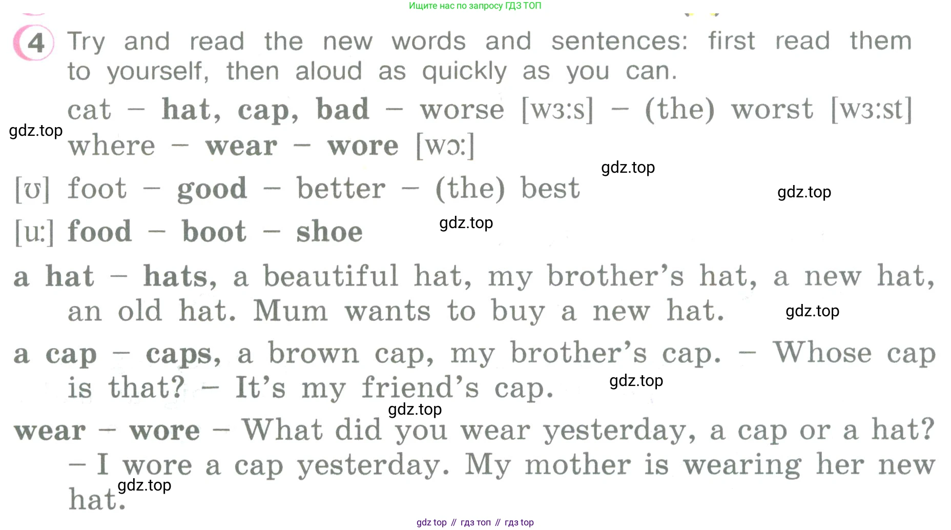 ГДЗ Английский язык (english), 3 класс Учебник (Student's book), авторы: Верещагина Ирина Николаевна (Vereshchagina Irina), Притыкина Тамара Александровна (Pritykina Tamara), издательство Просвещение, Москва, 2023, оранжевого цвета, Часть ( Part) 2, страница 28, номер 4, Условие