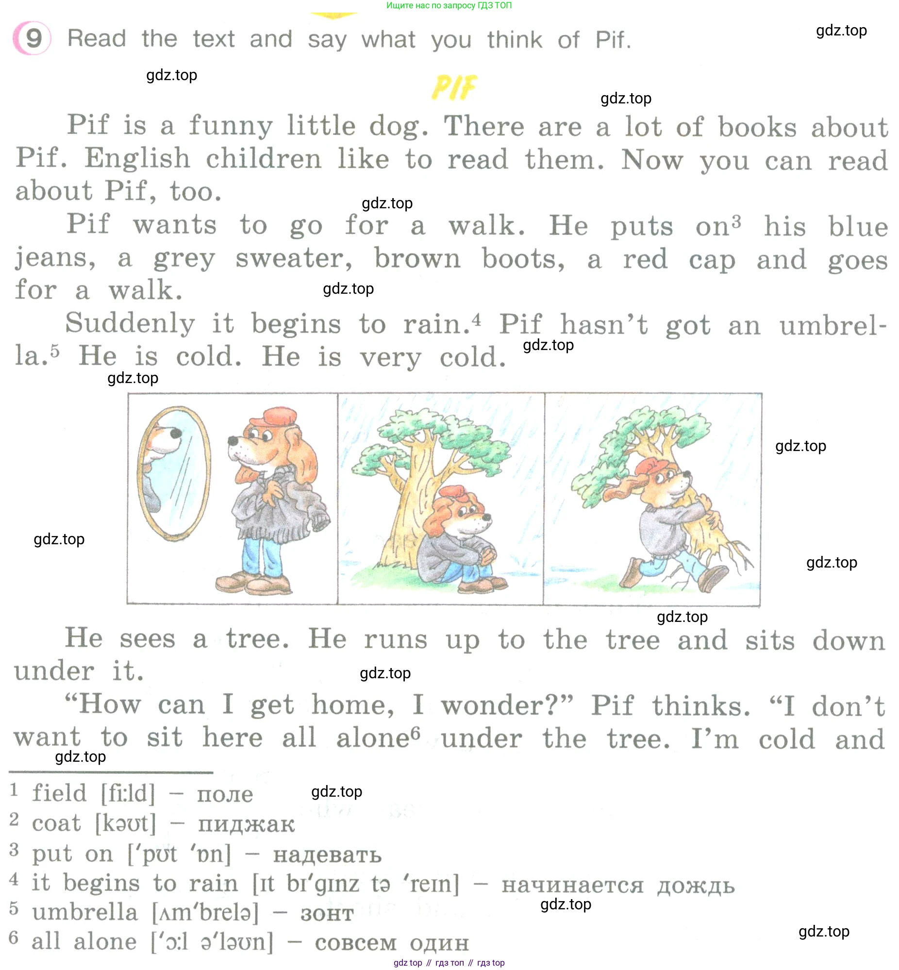 ГДЗ Английский язык (english), 3 класс Учебник (Student's book), авторы: Верещагина Ирина Николаевна (Vereshchagina Irina), Притыкина Тамара Александровна (Pritykina Tamara), издательство Просвещение, Москва, 2023, оранжевого цвета, Часть ( Part) 2, страница 38, номер 9, Условие