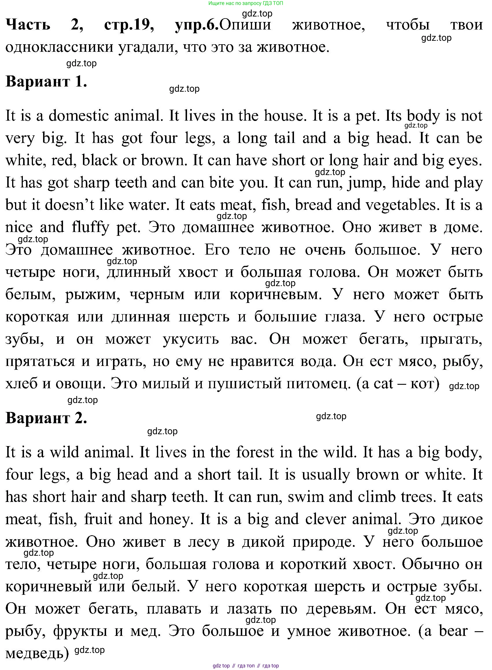ГДЗ Английский язык (english), 3 класс Учебник (Student's book), авторы: Верещагина Ирина Николаевна (Vereshchagina Irina), Притыкина Тамара Александровна (Pritykina Tamara), издательство Просвещение, Москва, 2023, оранжевого цвета, Часть ( Part) 2, страница 19, номер 6, Решение