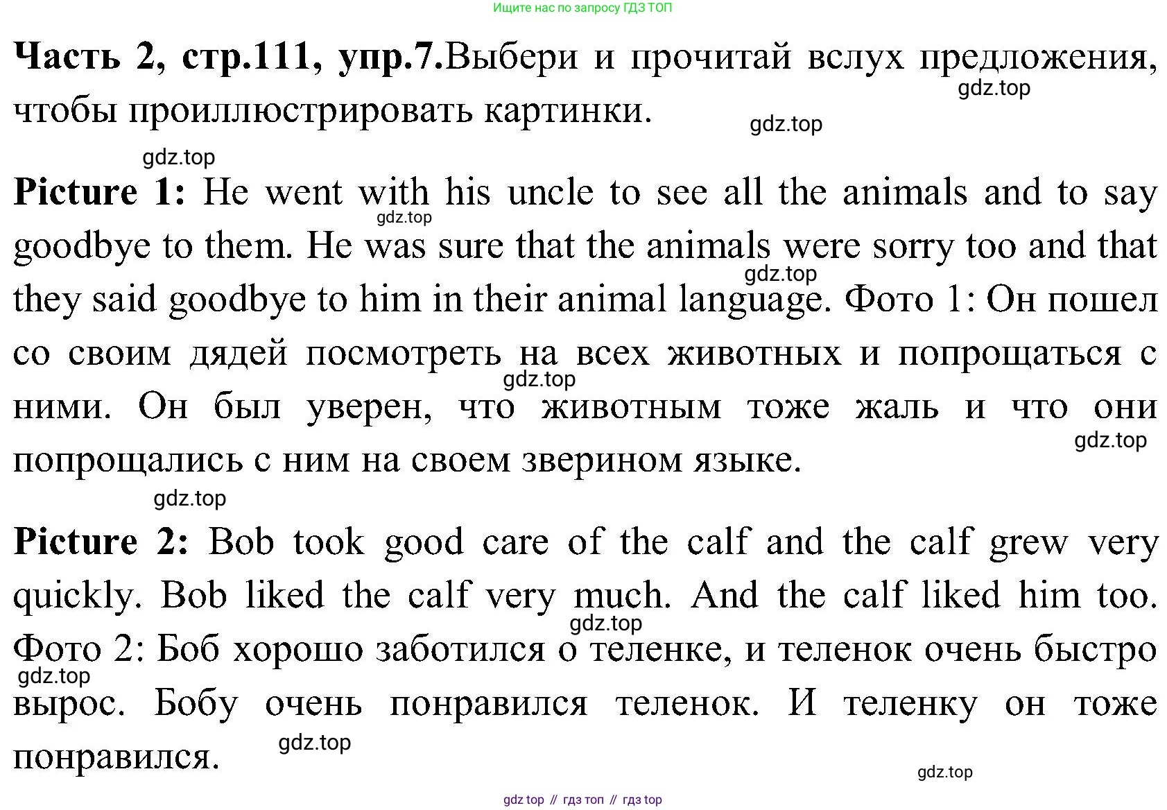 ГДЗ Английский язык (english), 3 класс Учебник (Student's book), авторы: Верещагина Ирина Николаевна (Vereshchagina Irina), Притыкина Тамара Александровна (Pritykina Tamara), издательство Просвещение, Москва, 2023, оранжевого цвета, Часть ( Part) 2, страница 111, номер 7, Решение