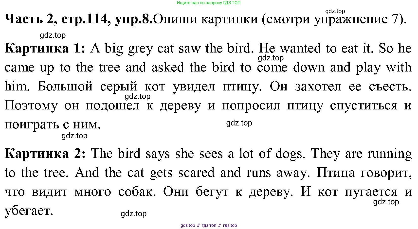 ГДЗ Английский язык (english), 3 класс Учебник (Student's book), авторы: Верещагина Ирина Николаевна (Vereshchagina Irina), Притыкина Тамара Александровна (Pritykina Tamara), издательство Просвещение, Москва, 2023, оранжевого цвета, Часть ( Part) 2, страница 114, номер 8, Решение