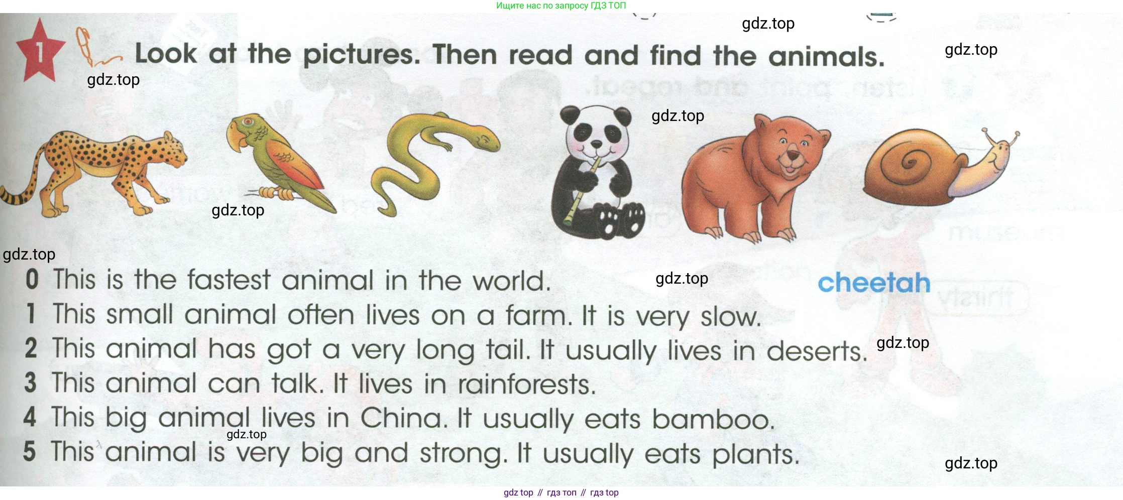 ГДЗ Английский язык (english), 4 класс Учебник (Student's book), авторы: Баранова Ксения Михайловна (Baranova Ksenia), Дули Дженни (Dooley Jenny), Копылова Виктория Викторовна (Kopylova Victoria), Мильруд Радислав Петрович (Millrood Radislav), Эванс Вирджиния (Evans Virginia), издательство Просвещение, Москва, 2023, розового цвета, Часть ( Part) 1, страница 93, номер 1, Условие
