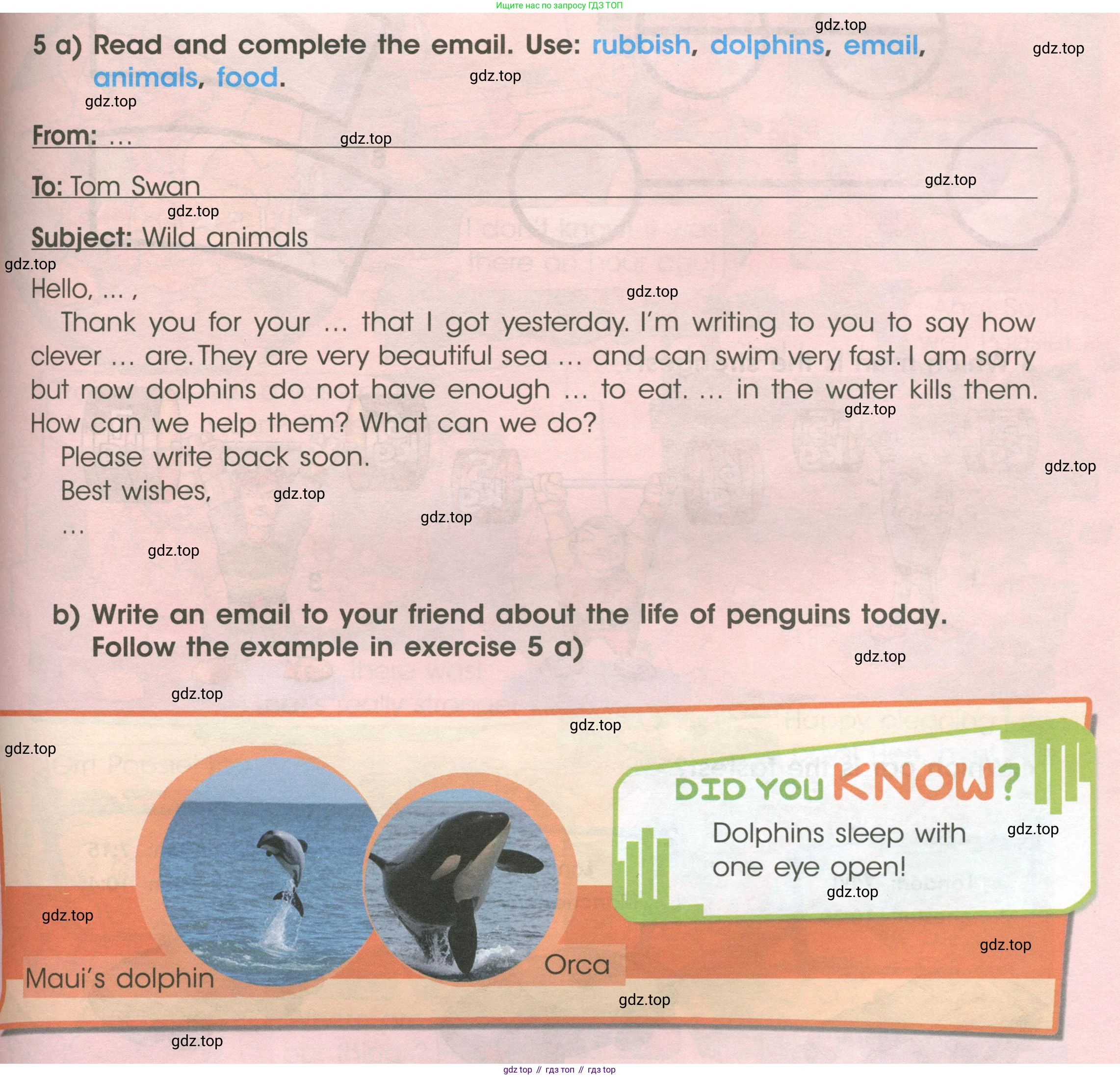 ГДЗ Английский язык (english), 4 класс Учебник (Student's book), авторы: Баранова Ксения Михайловна (Baranova Ksenia), Дули Дженни (Dooley Jenny), Копылова Виктория Викторовна (Kopylova Victoria), Мильруд Радислав Петрович (Millrood Radislav), Эванс Вирджиния (Evans Virginia), издательство Просвещение, Москва, 2023, розового цвета, Часть ( Part) 1, страница 113, номер 5, Условие