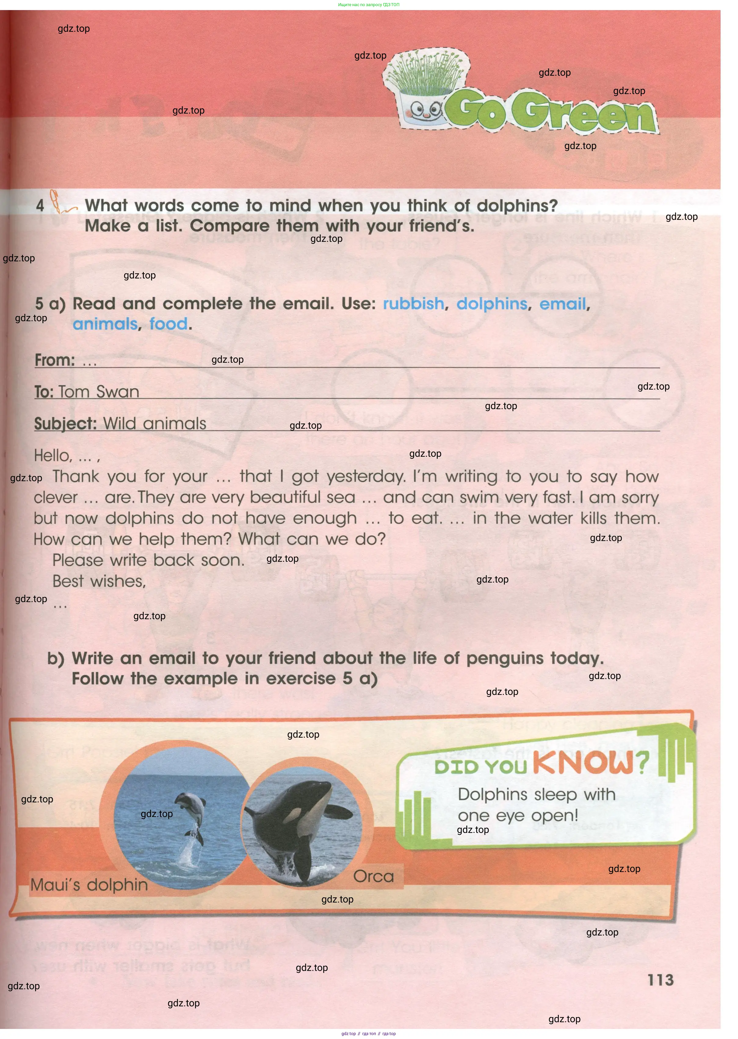 Английский язык (english), 4 класс Учебник (Student's book), авторы: Баранова Ксения Михайловна (Baranova Ksenia), Дули Дженни (Dooley Jenny), Копылова Виктория Викторовна (Kopylova Victoria), Мильруд Радислав Петрович (Millrood Radislav), Эванс Вирджиния (Evans Virginia), издательство Просвещение, Москва, 2023, розового цвета, Часть ( Part) 1, страница 113