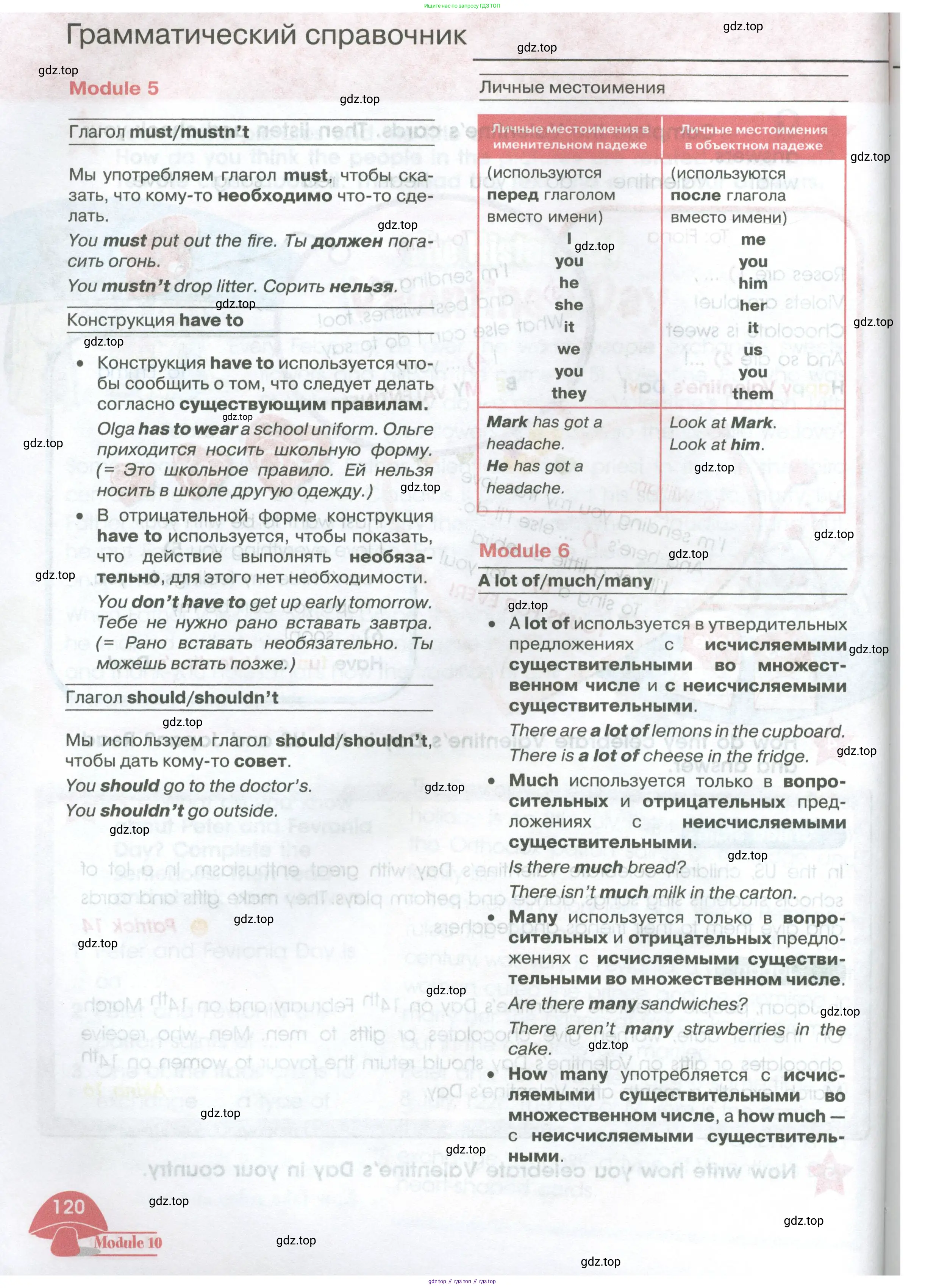 Английский язык (english), 4 класс Учебник (Student's book), авторы: Баранова Ксения Михайловна (Baranova Ksenia), Дули Дженни (Dooley Jenny), Копылова Виктория Викторовна (Kopylova Victoria), Мильруд Радислав Петрович (Millrood Radislav), Эванс Вирджиния (Evans Virginia), издательство Просвещение, Москва, 2023, розового цвета, страница 120