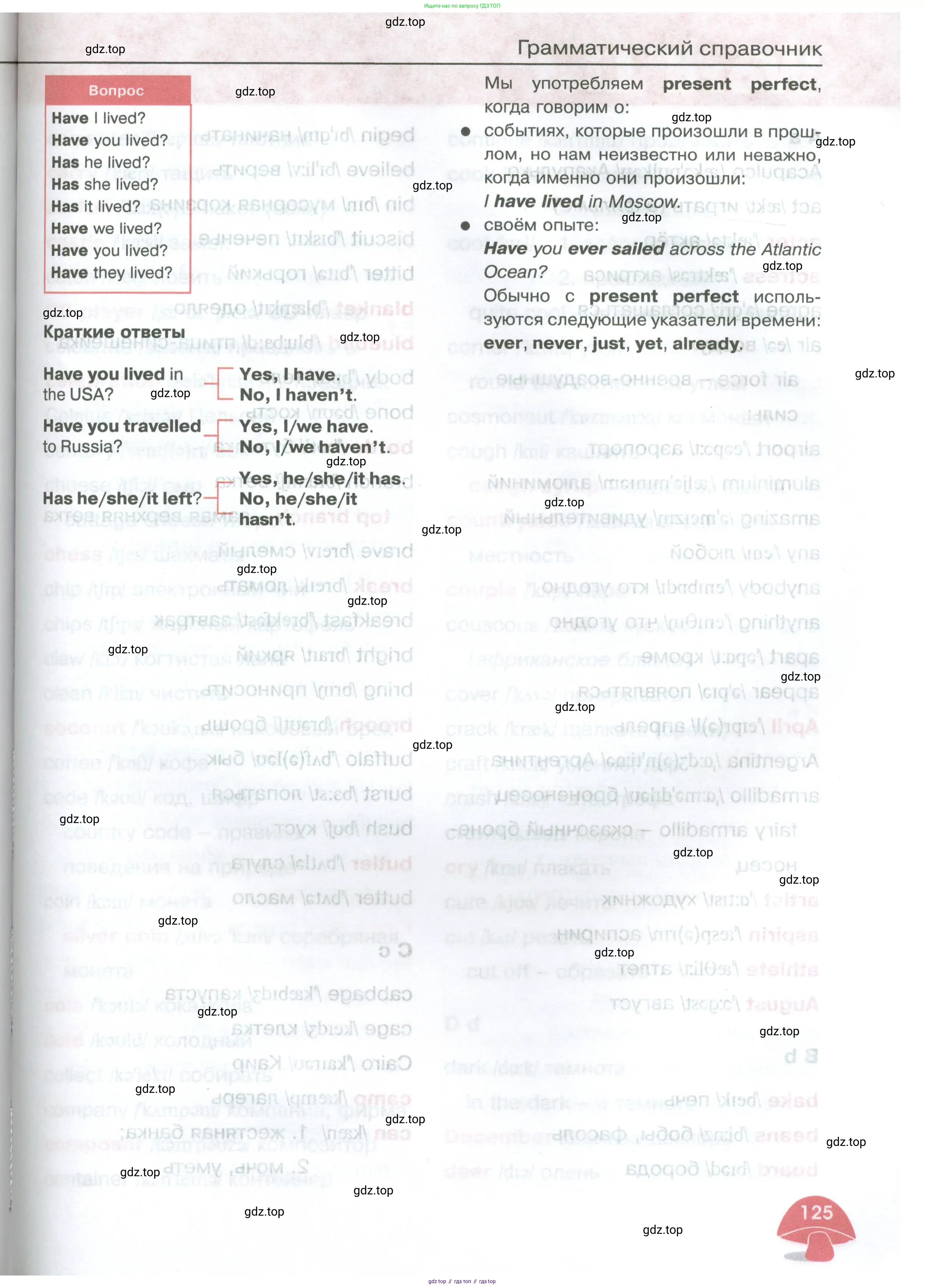 Английский язык (english), 4 класс Учебник (Student's book), авторы: Баранова Ксения Михайловна (Baranova Ksenia), Дули Дженни (Dooley Jenny), Копылова Виктория Викторовна (Kopylova Victoria), Мильруд Радислав Петрович (Millrood Radislav), Эванс Вирджиния (Evans Virginia), издательство Просвещение, Москва, 2023, розового цвета, страница 125