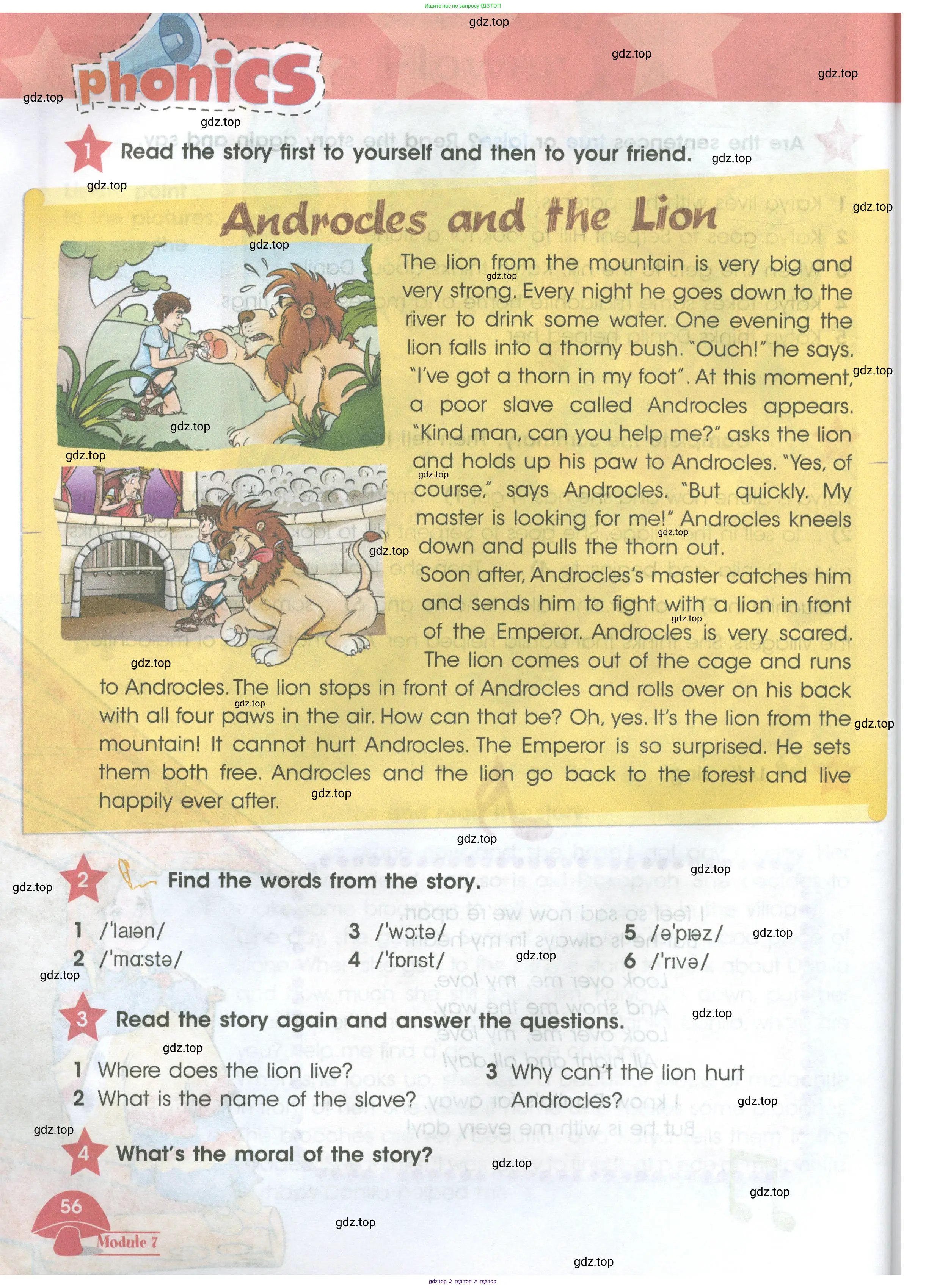 Английский язык (english), 4 класс Учебник (Student's book), авторы: Баранова Ксения Михайловна (Baranova Ksenia), Дули Дженни (Dooley Jenny), Копылова Виктория Викторовна (Kopylova Victoria), Мильруд Радислав Петрович (Millrood Radislav), Эванс Вирджиния (Evans Virginia), издательство Просвещение, Москва, 2023, розового цвета, Часть ( Part) 1, страница 56