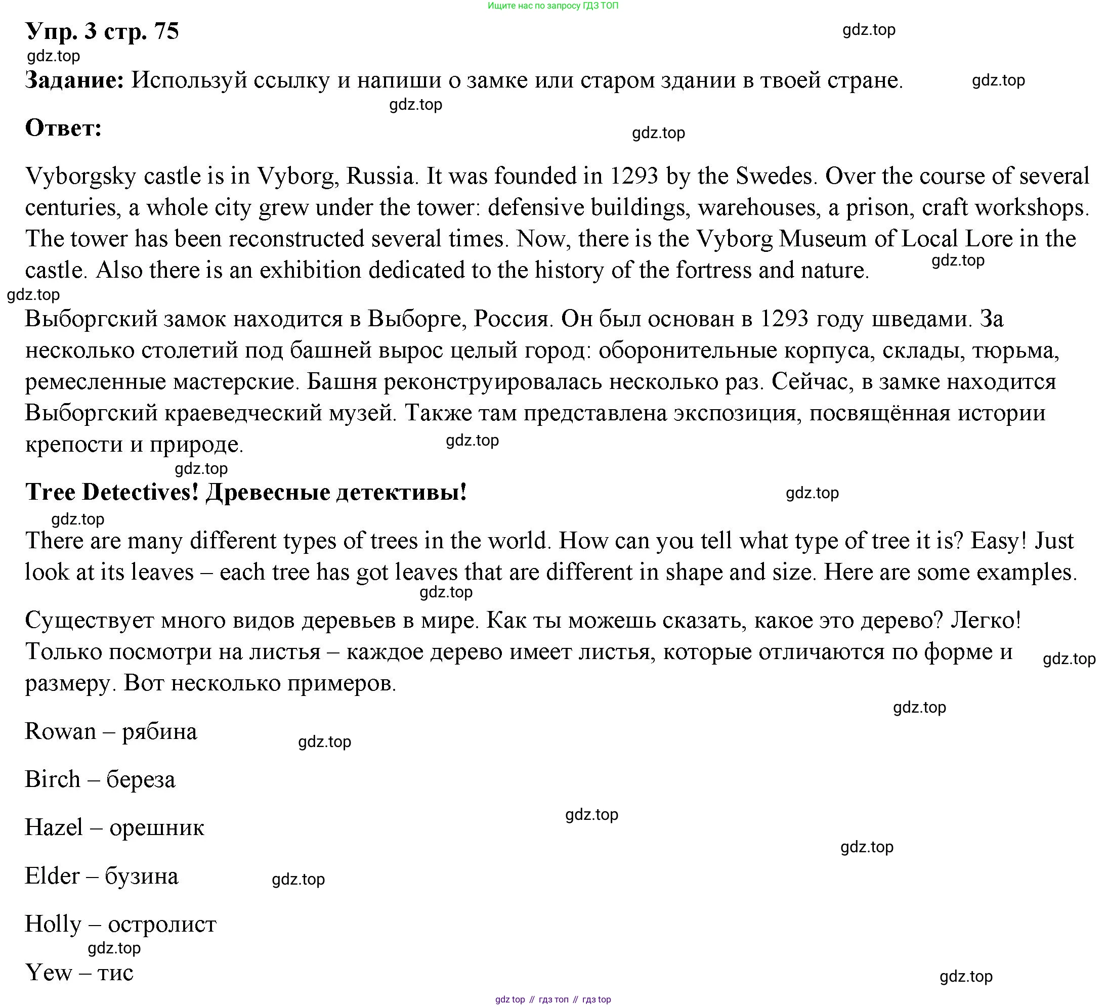 ГДЗ Английский язык (english), 4 класс Учебник (Student's book), авторы: Баранова Ксения Михайловна (Baranova Ksenia), Дули Дженни (Dooley Jenny), Копылова Виктория Викторовна (Kopylova Victoria), Мильруд Радислав Петрович (Millrood Radislav), Эванс Вирджиния (Evans Virginia), издательство Просвещение, Москва, 2023, розового цвета, Часть ( Part) 2, страница 75, номер 3, Решение