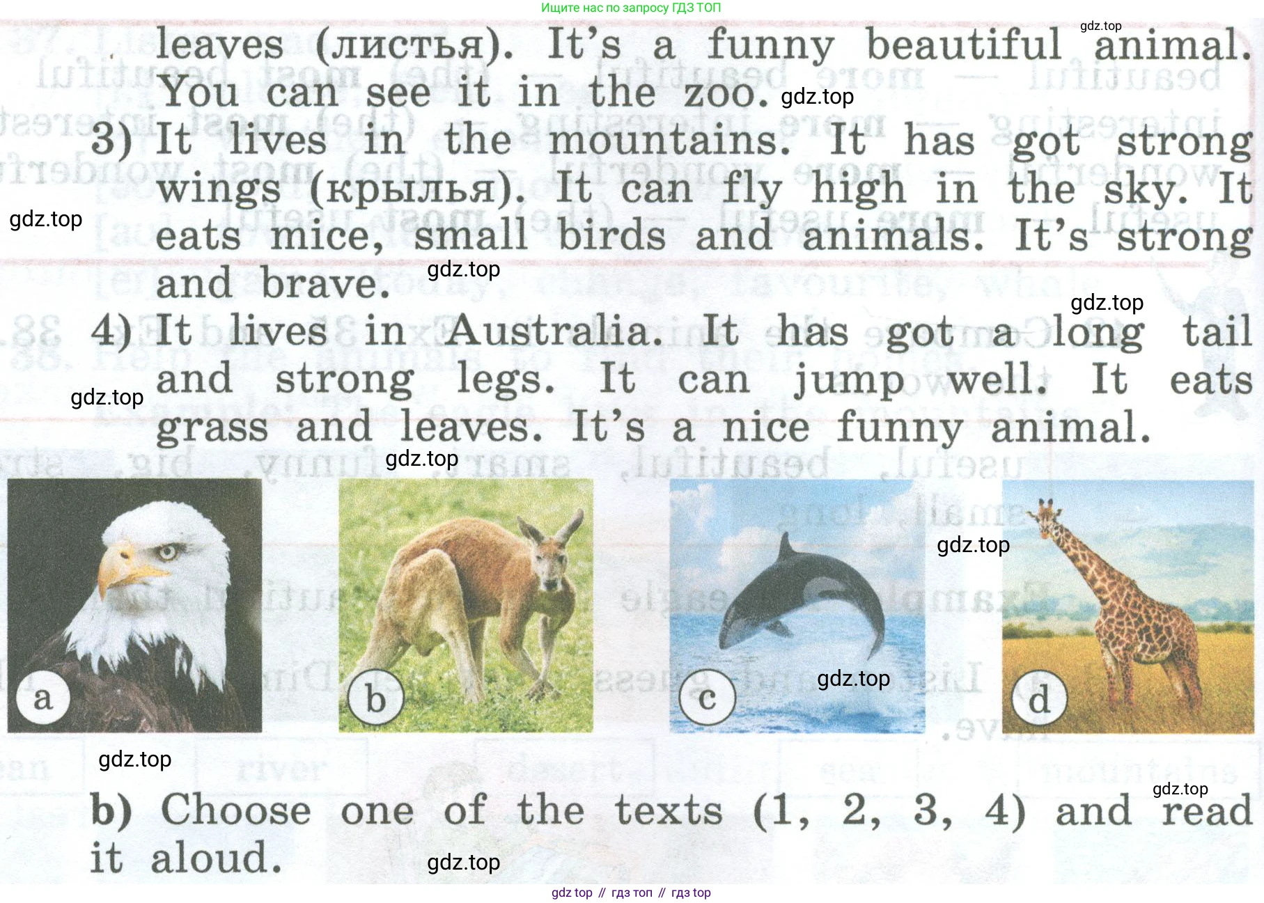 ГДЗ Английский язык (english), 4 класс Учебник (Student's book), авторы: Биболетова Мерем Забатовна, Денисенко Ольга Анатольевна, Трубанева Наталия Николаевна, издательство Просвещение, Москва, 2024, оранжевого цвета, страница 53, номер 44, Условие (продолжение 2)