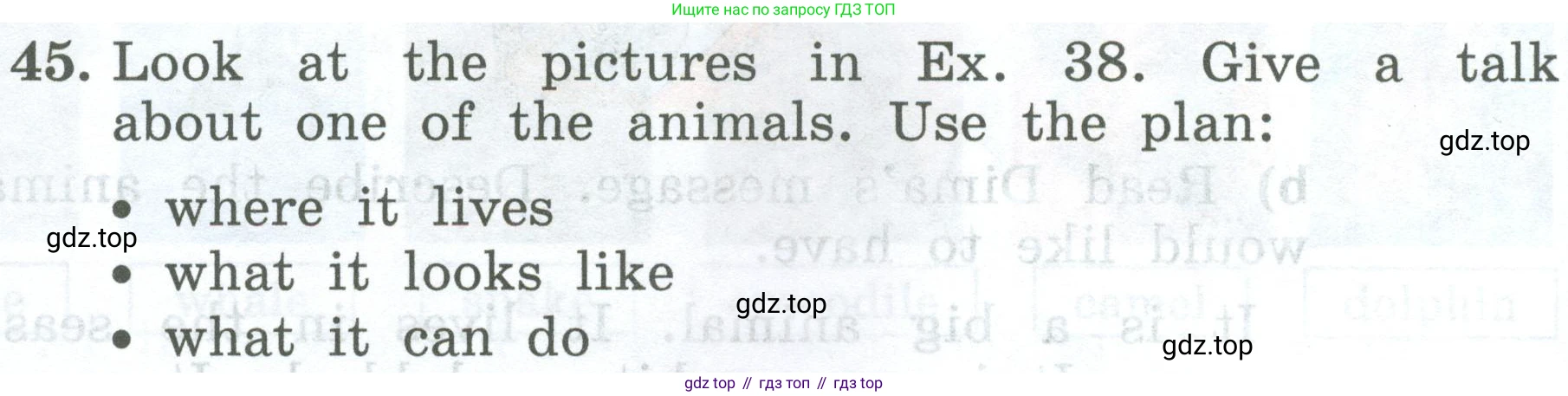 ГДЗ Английский язык (english), 4 класс Учебник (Student's book), авторы: Биболетова Мерем Забатовна, Денисенко Ольга Анатольевна, Трубанева Наталия Николаевна, издательство Просвещение, Москва, 2024, оранжевого цвета, страница 54, номер 45, Условие