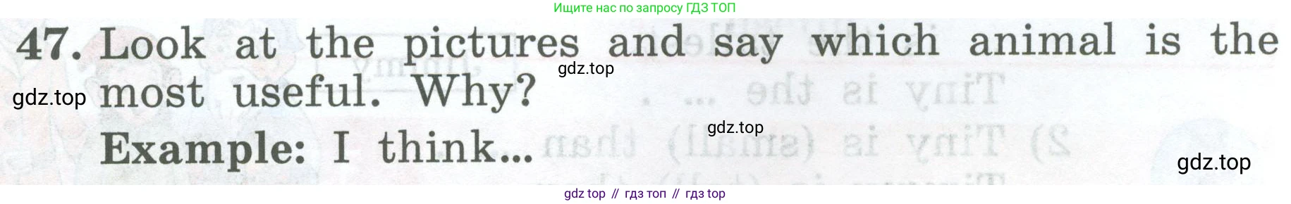 ГДЗ Английский язык (english), 4 класс Учебник (Student's book), авторы: Биболетова Мерем Забатовна, Денисенко Ольга Анатольевна, Трубанева Наталия Николаевна, издательство Просвещение, Москва, 2024, оранжевого цвета, страница 55, номер 47, Условие