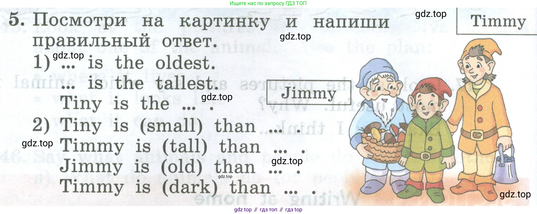 ГДЗ Английский язык (english), 4 класс Учебник (Student's book), авторы: Биболетова Мерем Забатовна, Денисенко Ольга Анатольевна, Трубанева Наталия Николаевна, издательство Просвещение, Москва, 2024, оранжевого цвета, страница 56, номер 5, Условие