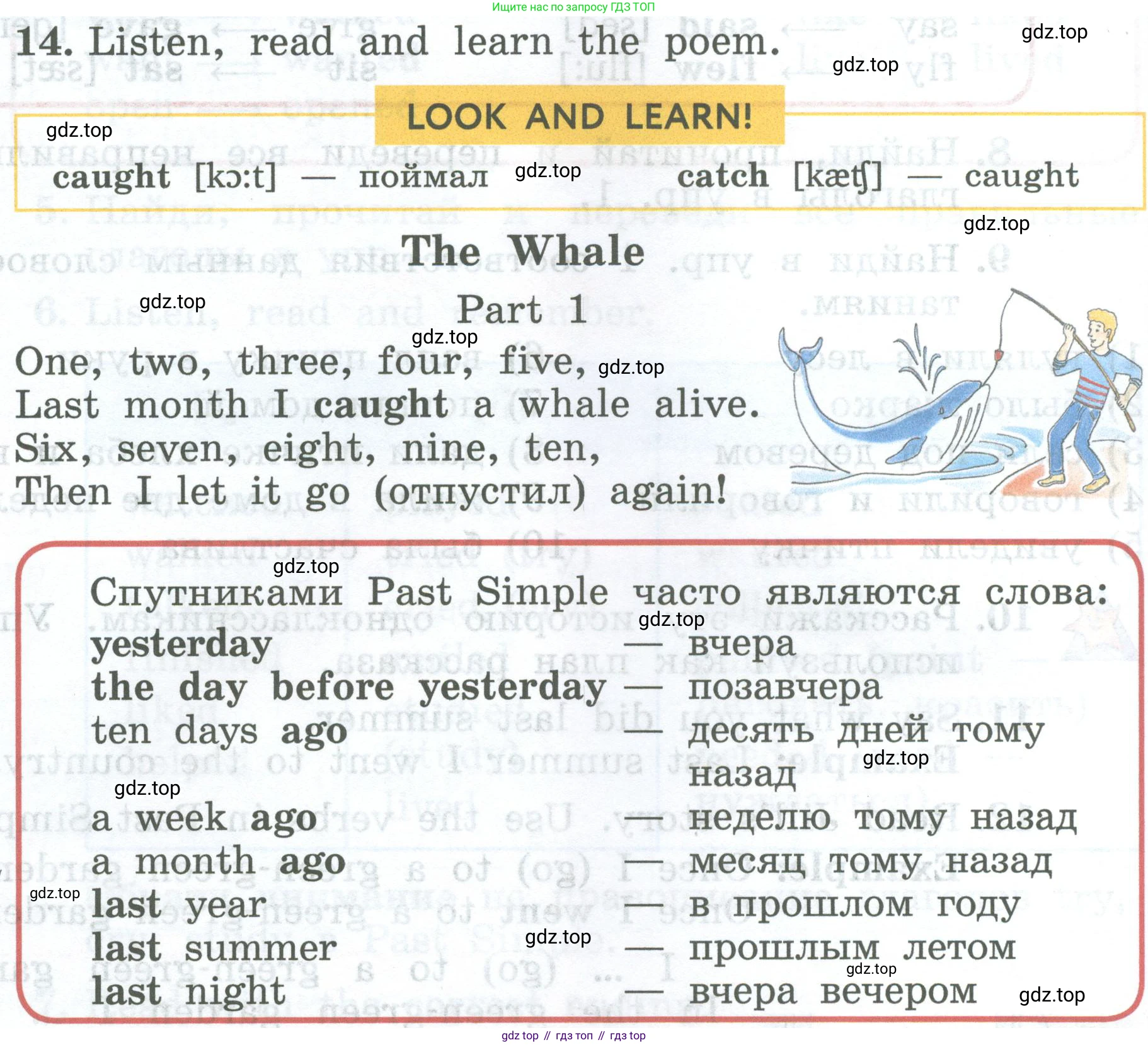 ГДЗ Английский язык (english), 4 класс Учебник (Student's book), авторы: Биболетова Мерем Забатовна, Денисенко Ольга Анатольевна, Трубанева Наталия Николаевна, издательство Просвещение, Москва, 2024, оранжевого цвета, страница 62, номер 14, Условие