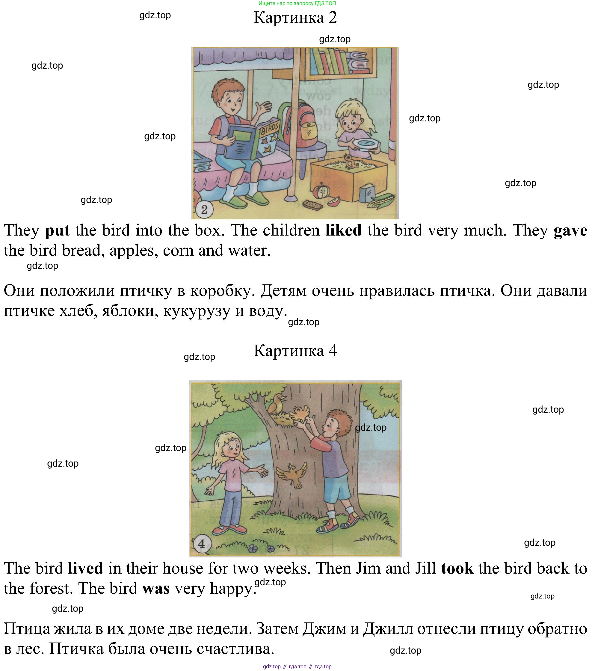 ГДЗ Английский язык (english), 4 класс Учебник (Student's book), авторы: Биболетова Мерем Забатовна, Денисенко Ольга Анатольевна, Трубанева Наталия Николаевна, издательство Просвещение, Москва, 2024, оранжевого цвета, страница 58, номер 1, Решение (продолжение 2)