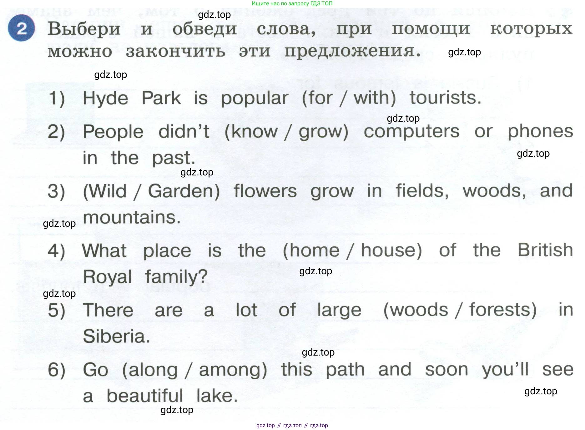 ГДЗ Английский язык (english), 4 класс рабочая тетрадь, авторы: Афанасьева Ольга Васильевна (Afanasyeva Olga), Баранова Ксения Михайловна (Baranova Ksenia), Михеева Ирина Владимировна (Mikheeva Irina), издательство Просвещение, Москва, 2024, красного цвета, Часть 2, страница 76, номер 2, Условие