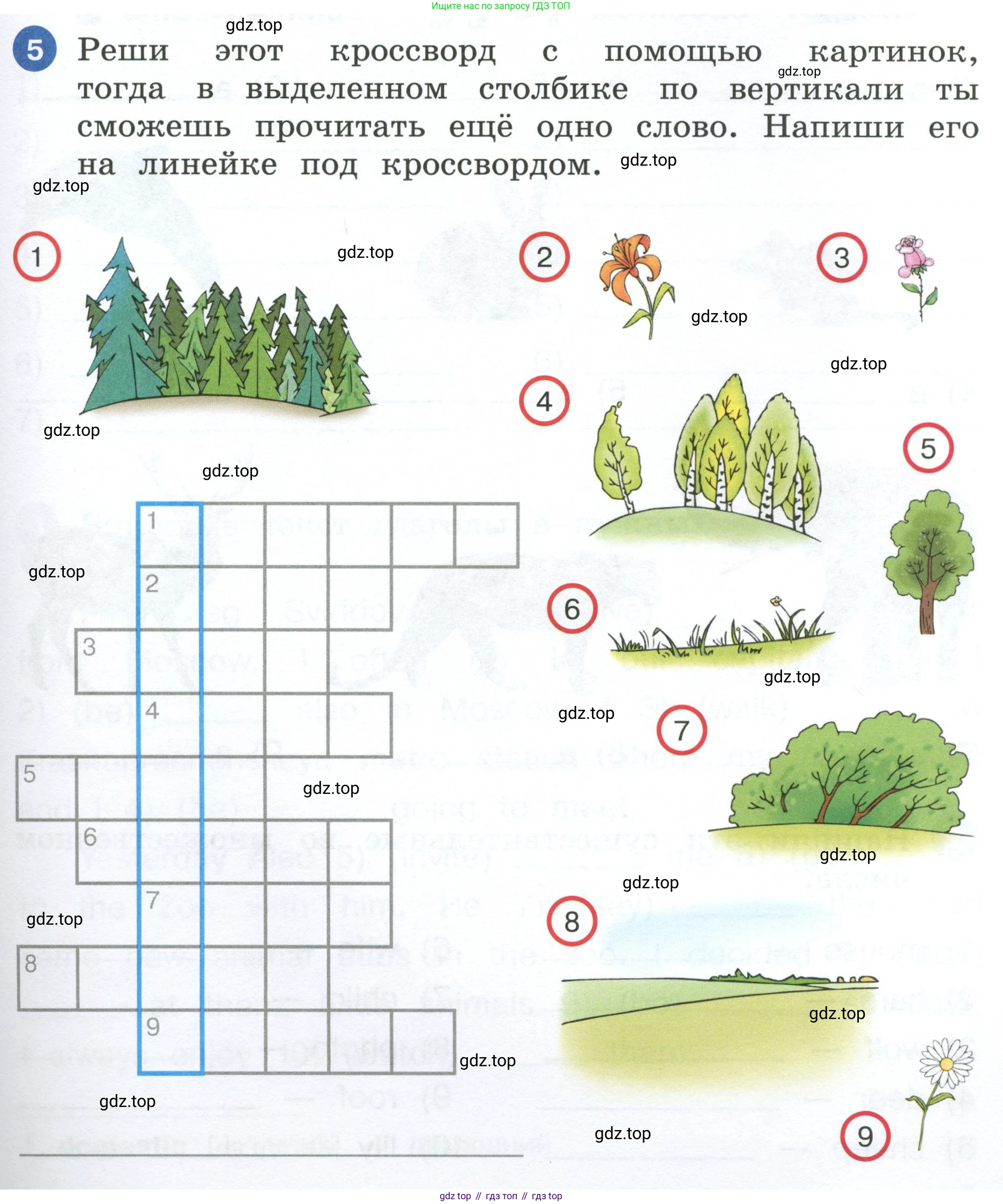 ГДЗ Английский язык (english), 4 класс рабочая тетрадь, авторы: Афанасьева Ольга Васильевна (Afanasyeva Olga), Баранова Ксения Михайловна (Baranova Ksenia), Михеева Ирина Владимировна (Mikheeva Irina), издательство Просвещение, Москва, 2024, красного цвета, Часть 2, страница 79, номер 5, Условие