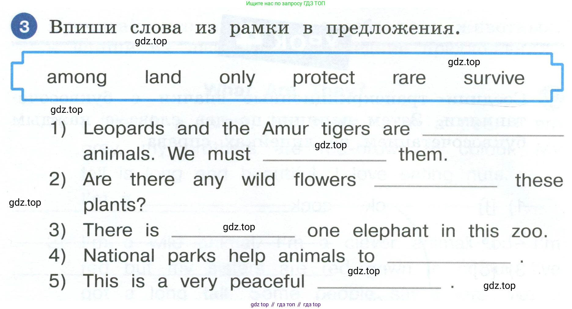 ГДЗ Английский язык (english), 4 класс рабочая тетрадь, авторы: Афанасьева Ольга Васильевна (Afanasyeva Olga), Баранова Ксения Михайловна (Baranova Ksenia), Михеева Ирина Владимировна (Mikheeva Irina), издательство Просвещение, Москва, 2024, красного цвета, Часть 2, страница 84, номер 3, Условие