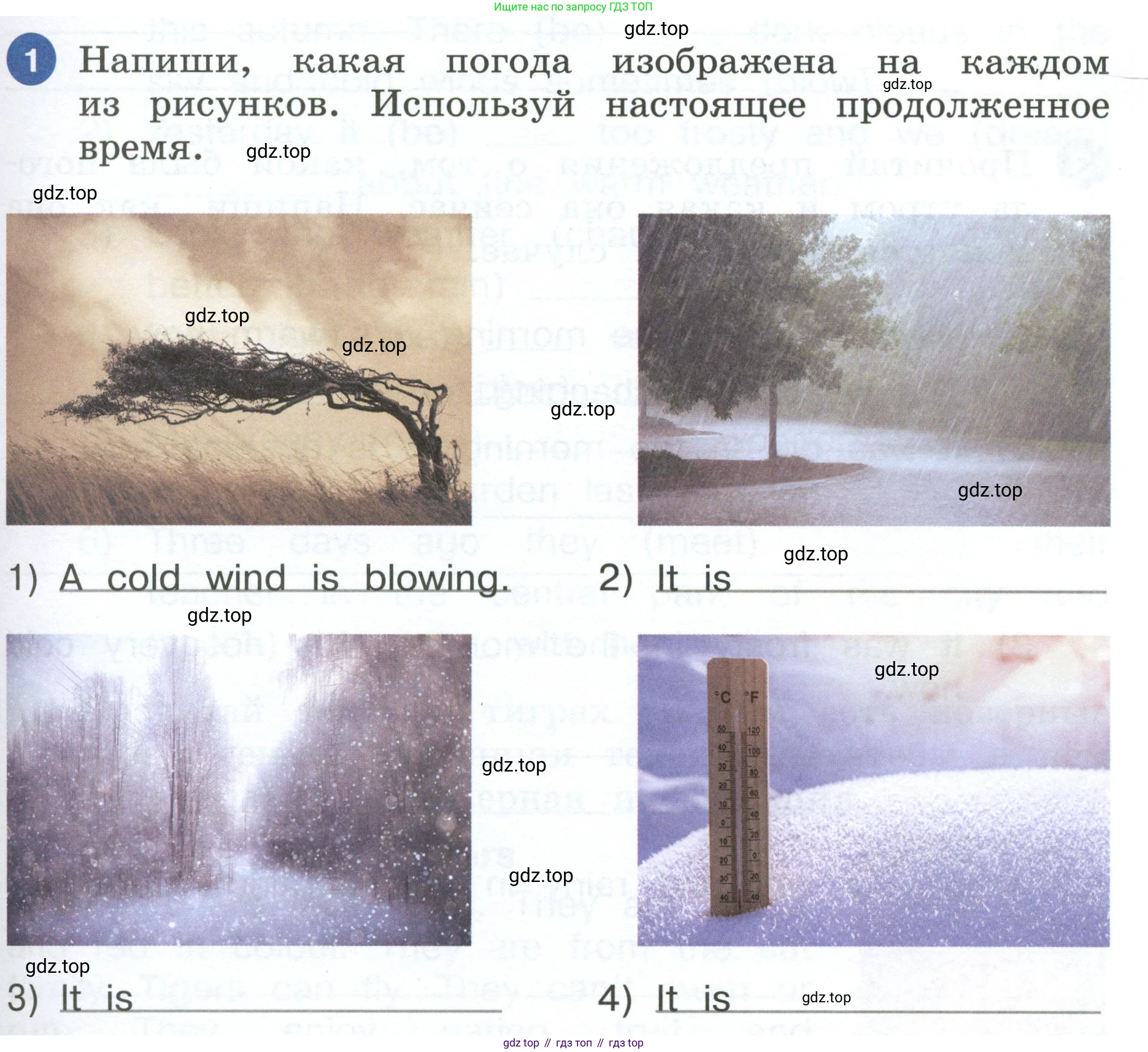 ГДЗ Английский язык (english), 4 класс рабочая тетрадь, авторы: Афанасьева Ольга Васильевна (Afanasyeva Olga), Баранова Ксения Михайловна (Baranova Ksenia), Михеева Ирина Владимировна (Mikheeva Irina), издательство Просвещение, Москва, 2024, красного цвета, Часть 2, страница 85, номер 1, Условие